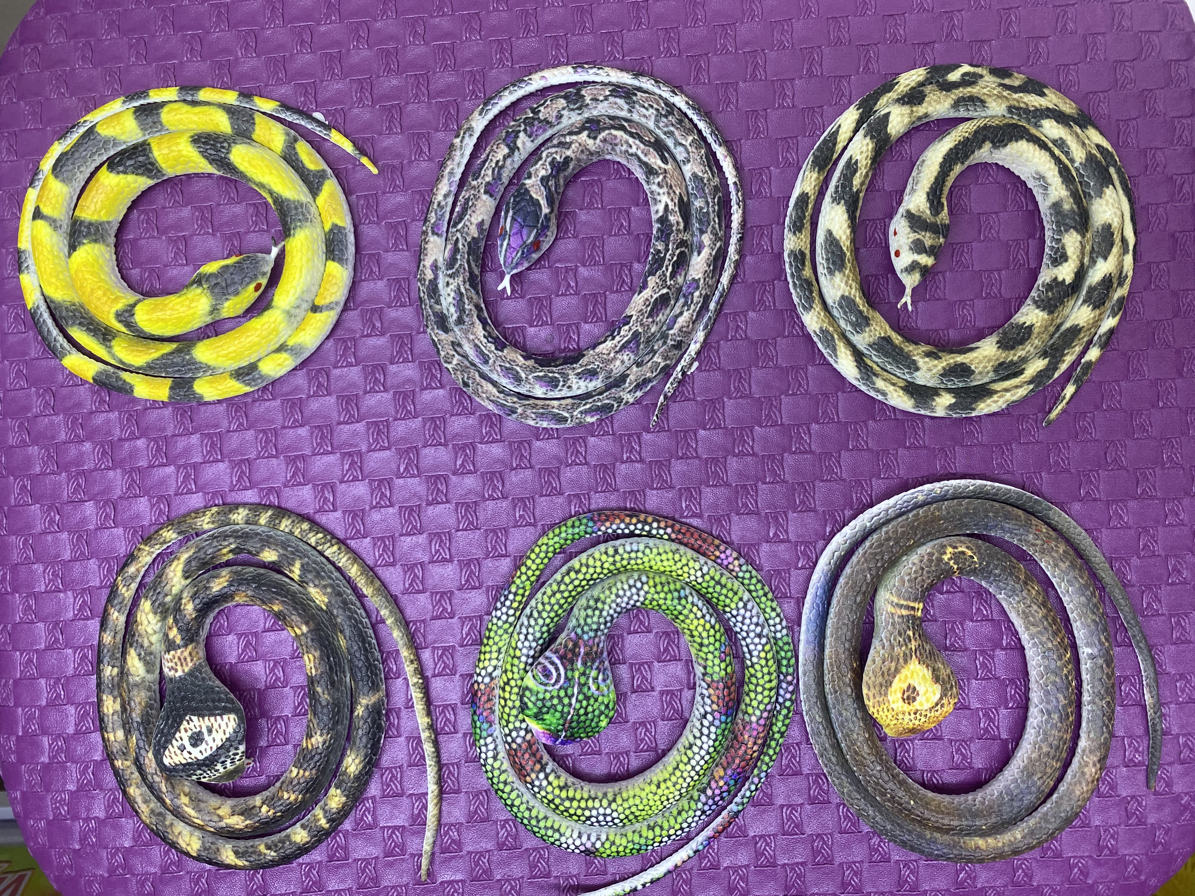 仿真动物蛇新奇特整蛊玩具