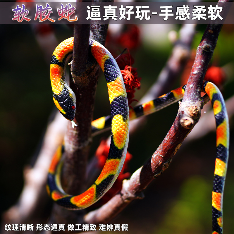 整人玩具实物图