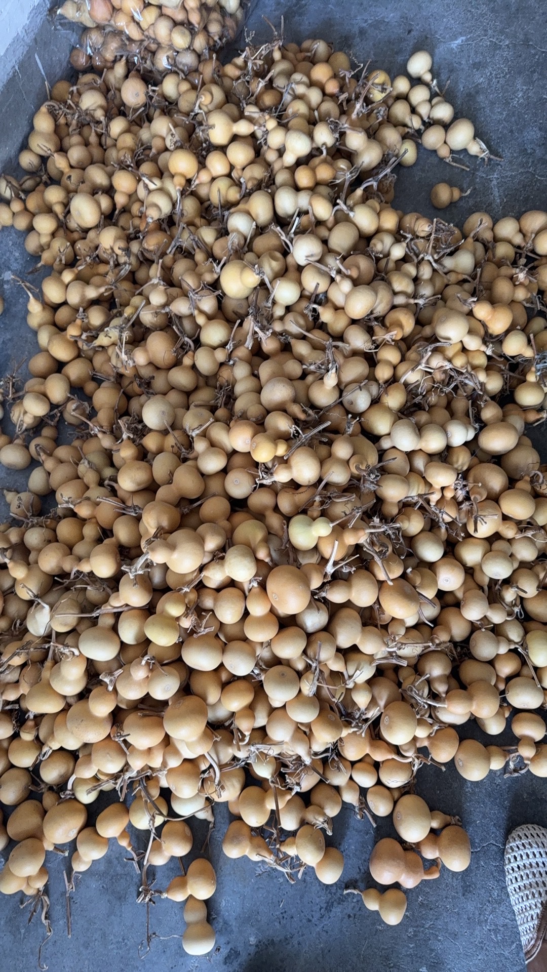 天然葫芦小美葫芦文玩念珠手饰天然材质手工编织多款可选文玩把玩