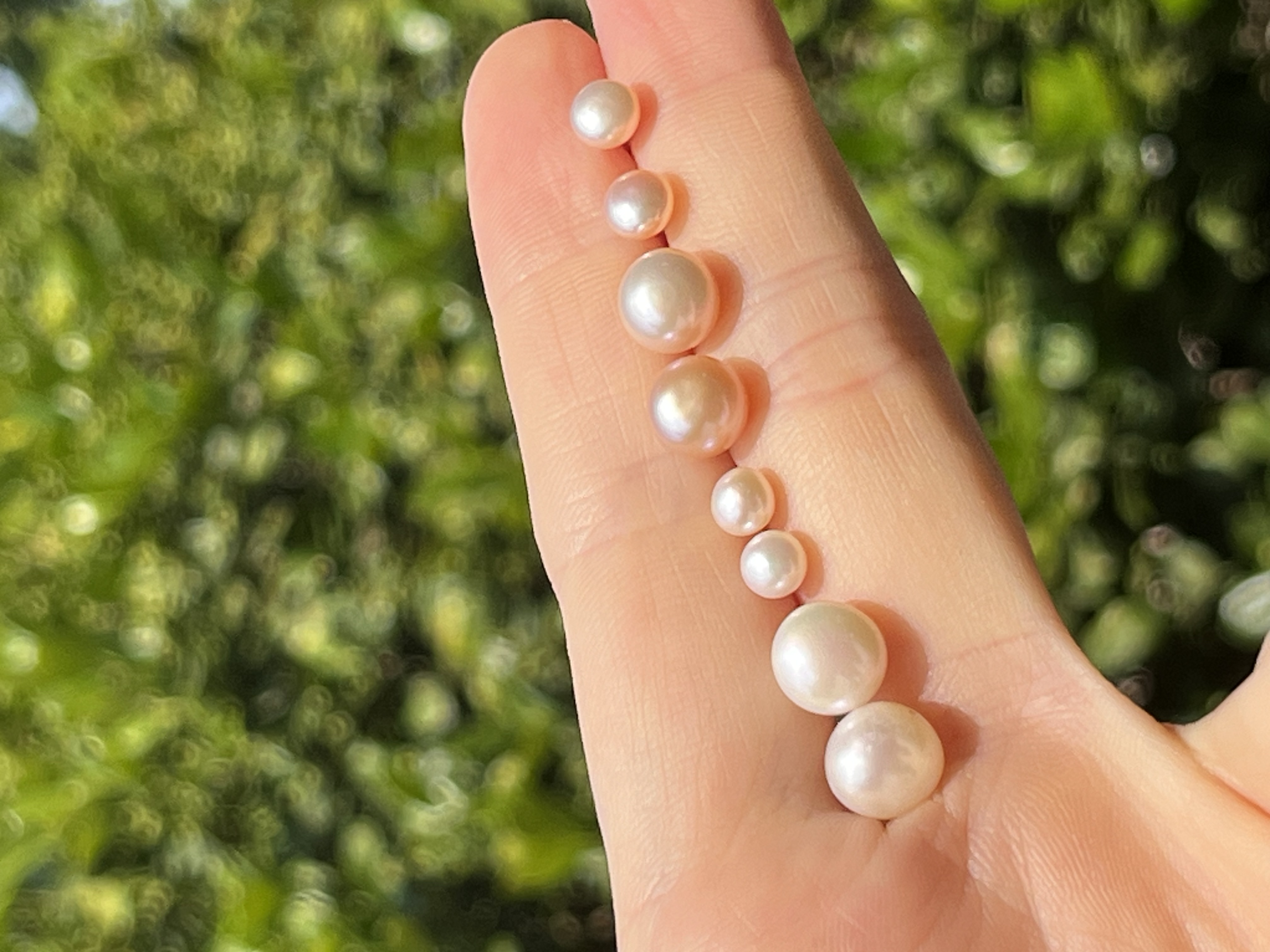 Yunyi Shijia Freshwater Pearl Stud Set, colorful natural pearls, white combination accessories, earrings, pearl earrings detail image 9