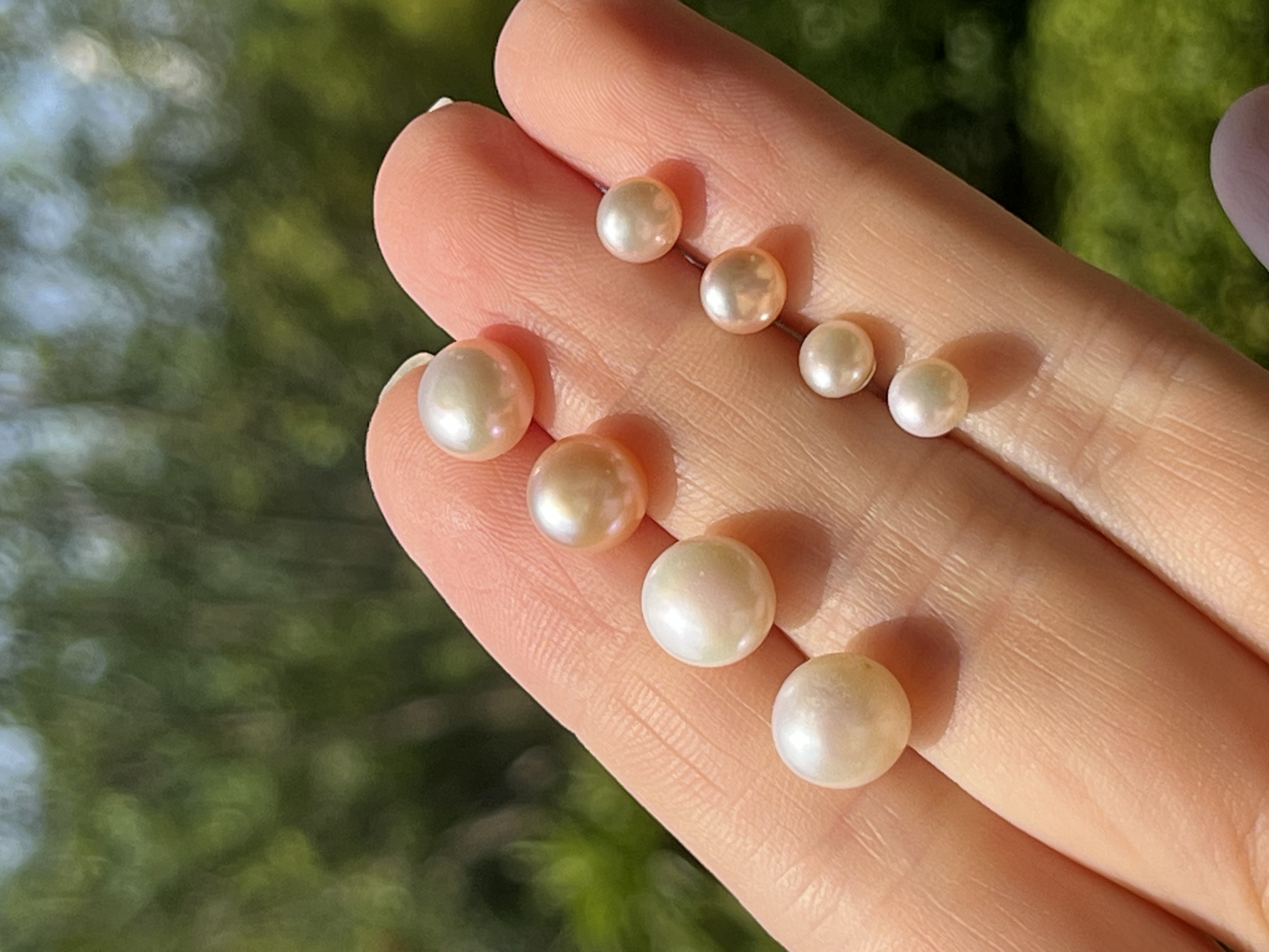 Yunyi Shijia Freshwater Pearl Stud Set, colorful natural pearls, white combination accessories, earrings, pearl earrings detail image 8