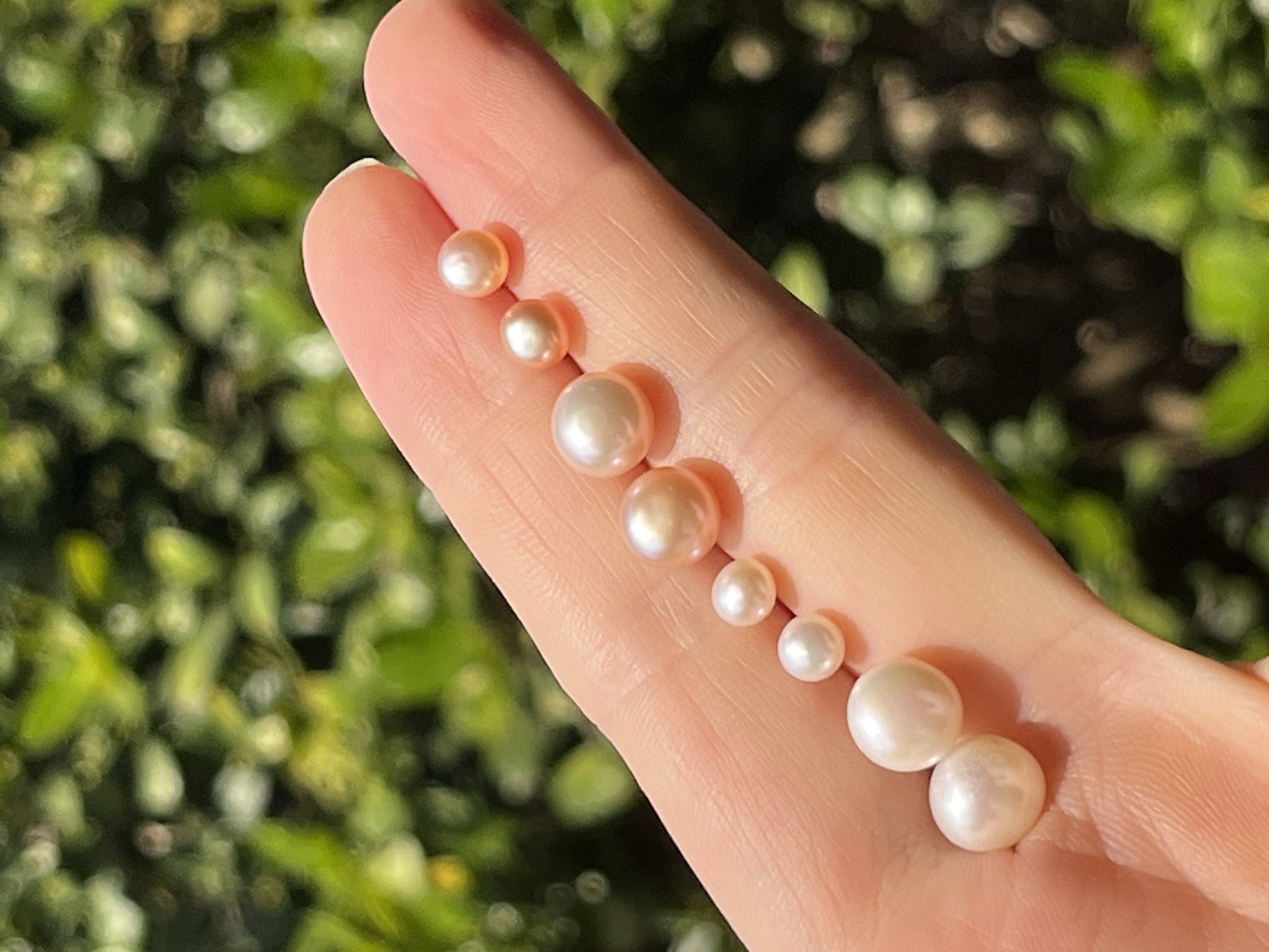 Yunyi Shijia Freshwater Pearl Stud Set, colorful natural pearls, white combination accessories, earrings, pearl earrings detail image 15