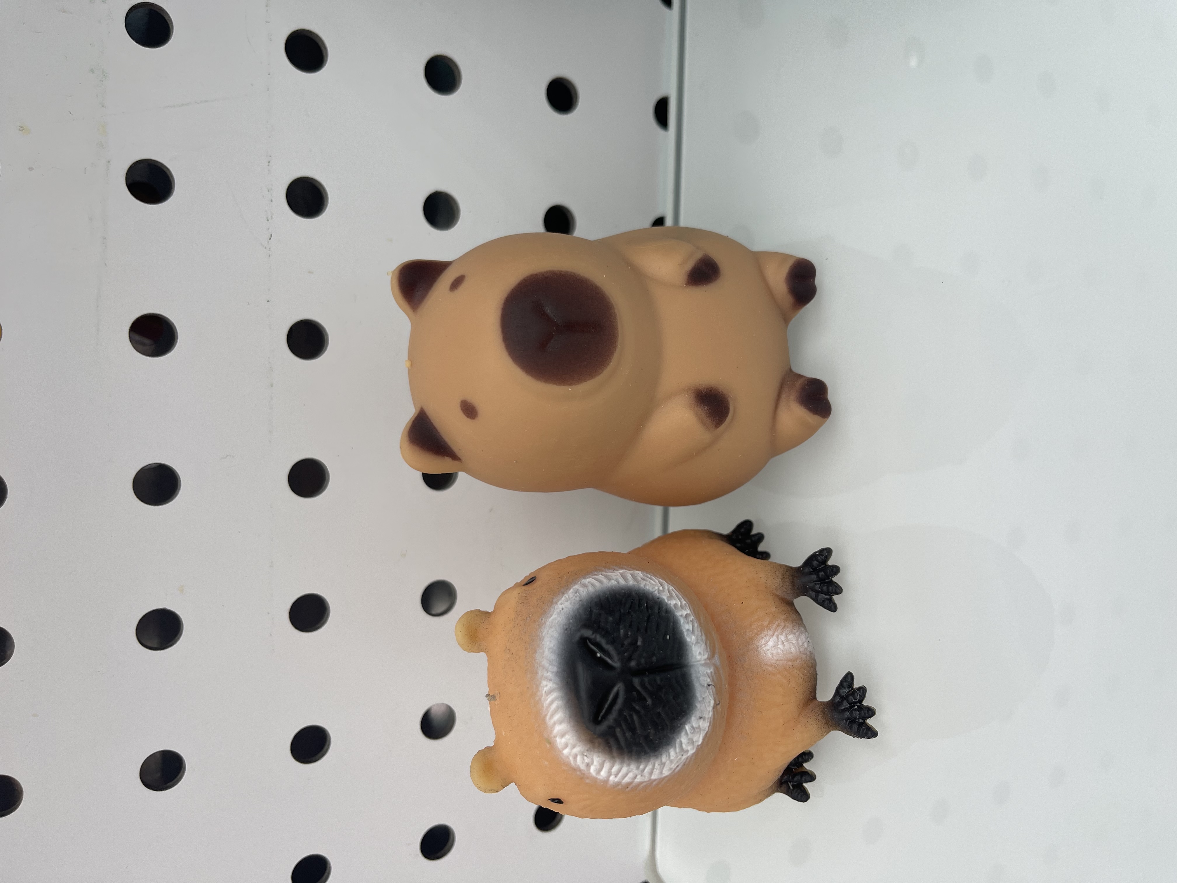 减压玩具实物图