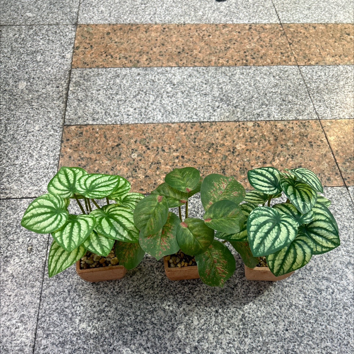 Three-color artificial plant bonsai detail image 1