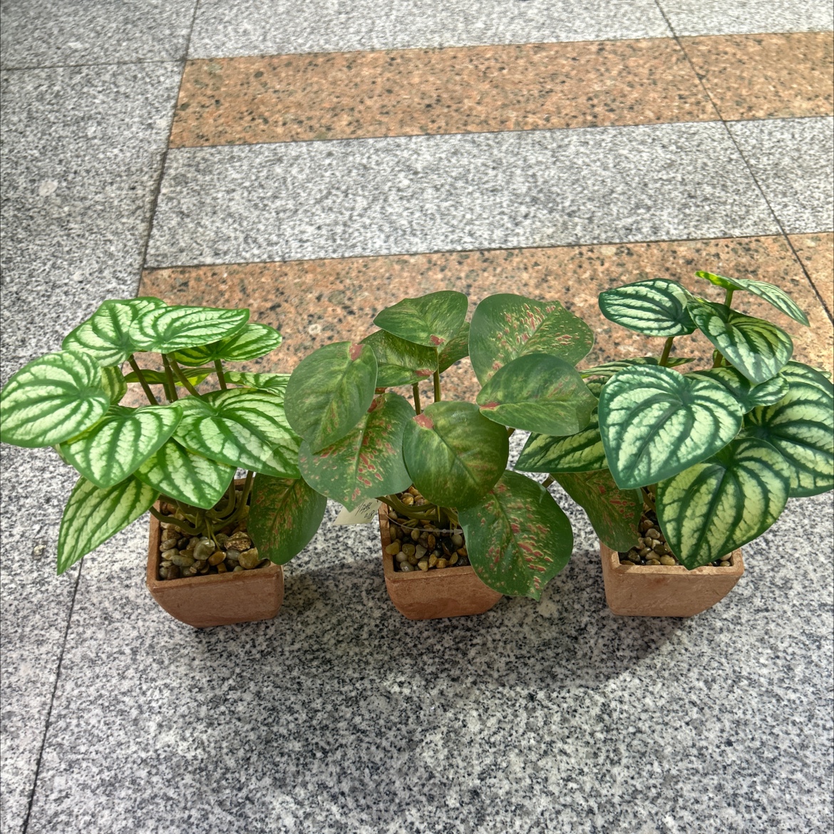 Three-color artificial plant bonsai