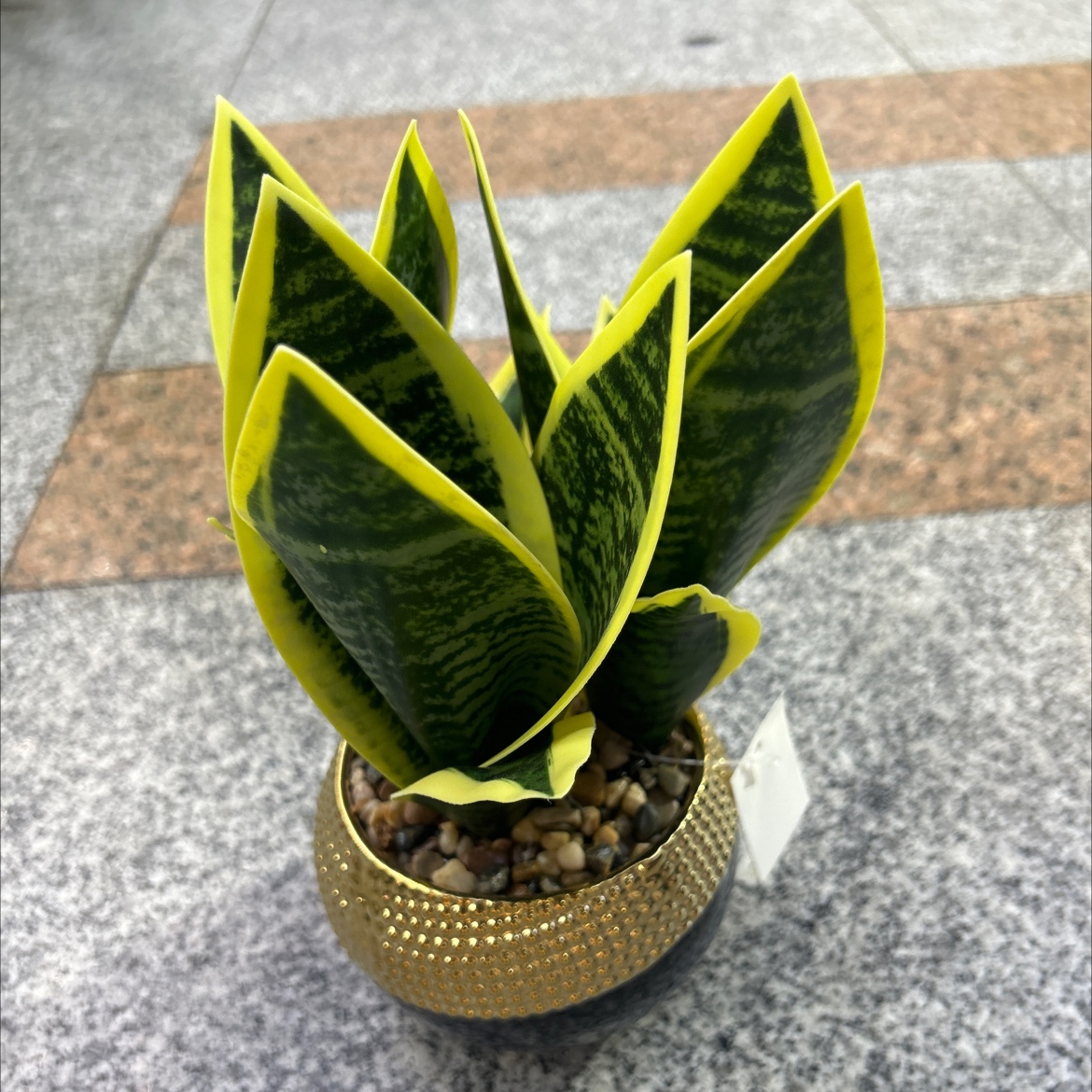 Three-head green plant simulation bonsai