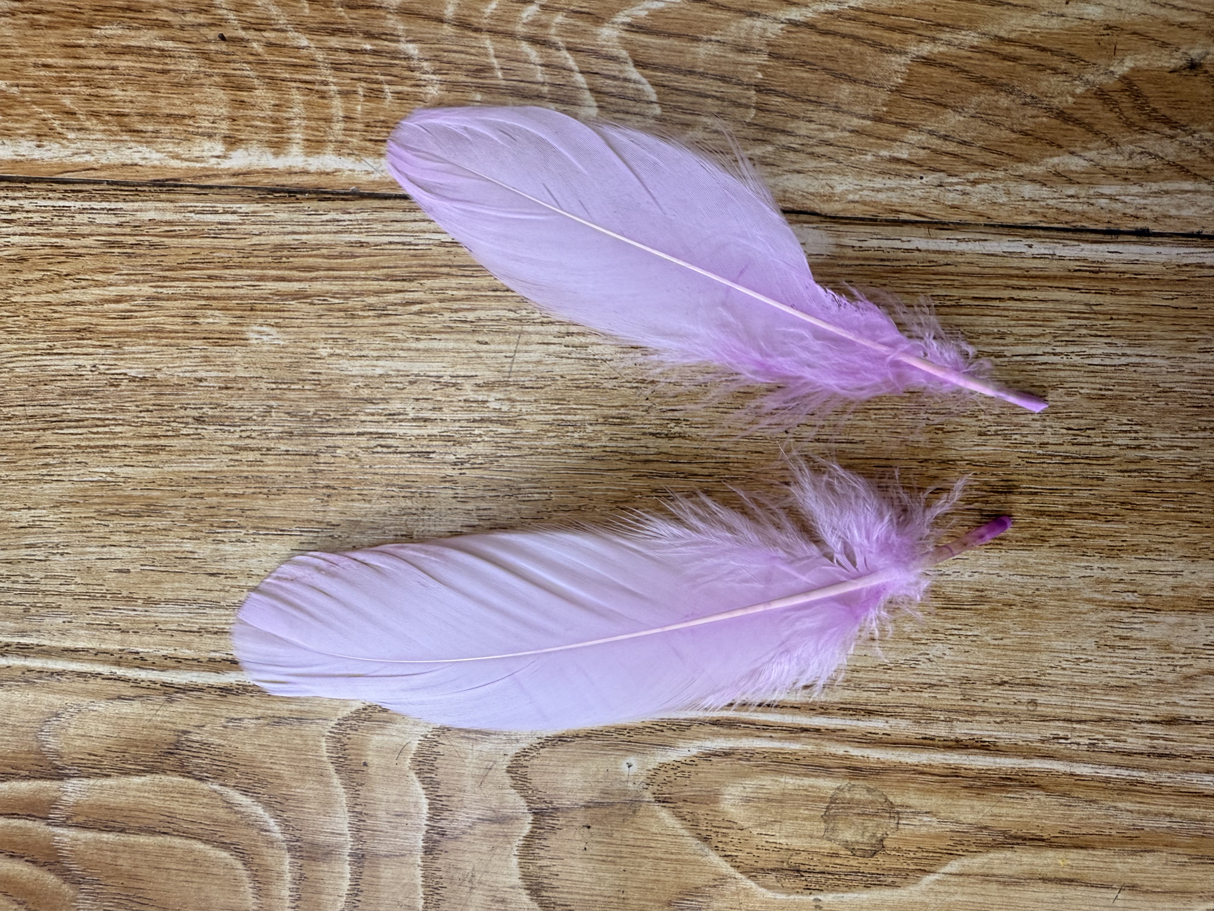 天然鹅毛大飘羽毛diy手工饰品羽毛配件12-18cm多尺寸细节图