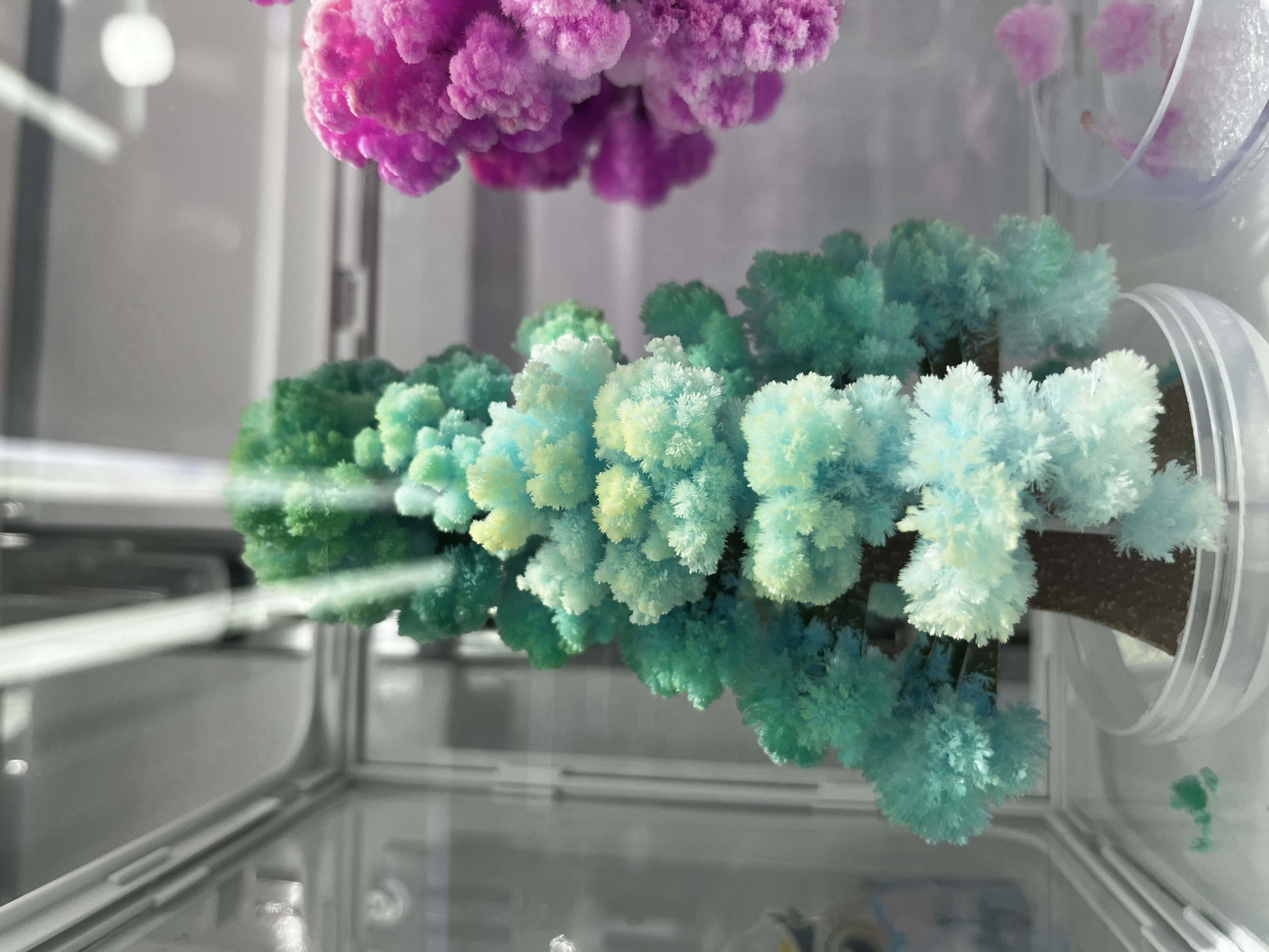 Paper tree blooming magic Christmas tree Watering blooming Magical science experiment toy Christmas Festival gift Application Scenario