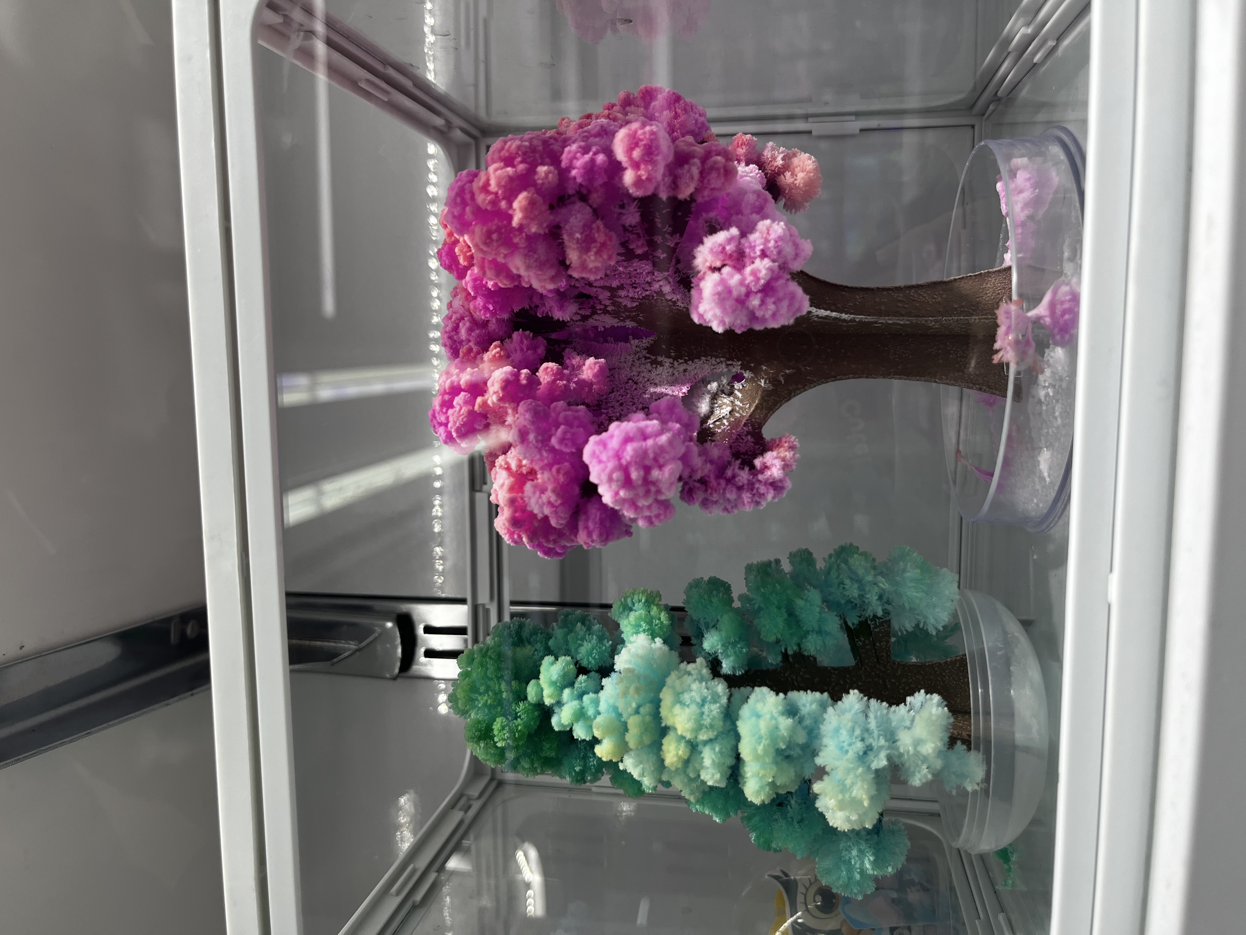 Paper tree blooming magic Christmas tree Watering blooming Magical science experiment toy Christmas Festival gift