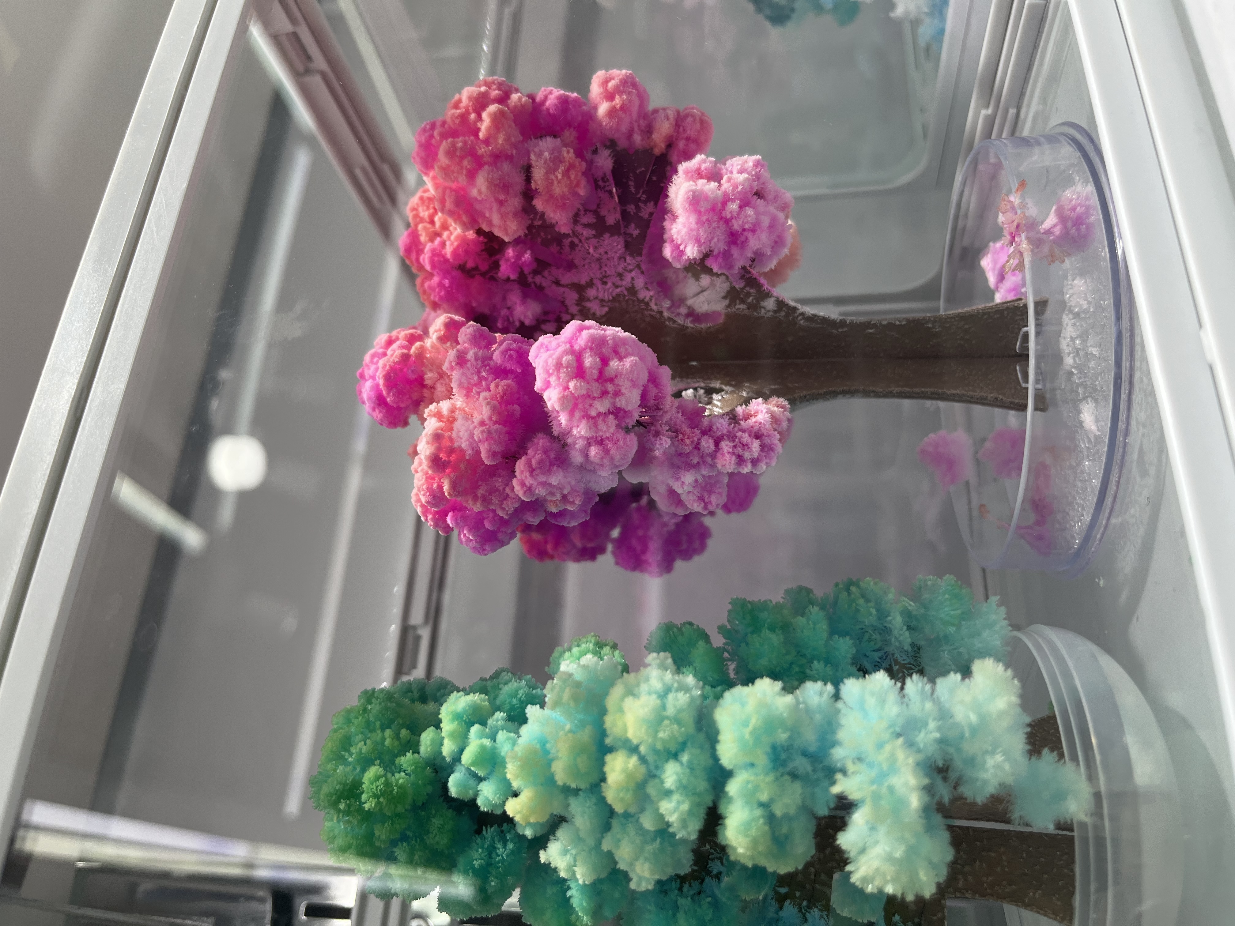 Paper tree blooming magic Christmas tree Watering blooming Magical science experiment toy Christmas Festival gift details Picture