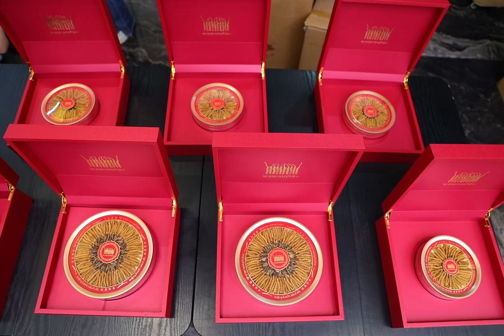 冬虫夏草（那曲）产品图