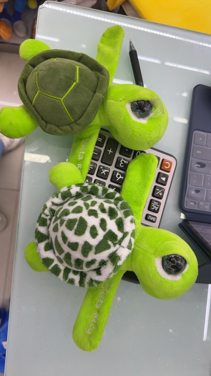 乌龟玩具海龟毛绒公仔玩偶毛绒玩具可爱抱枕儿童礼物拍拍圈布娃娃软萌趣味款