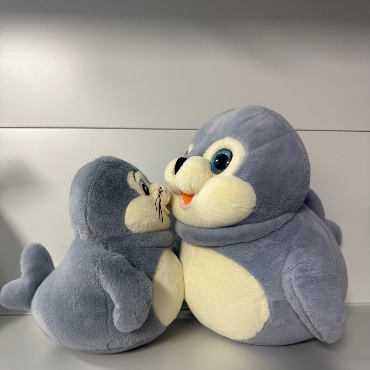 Seal details Picture