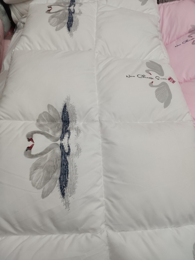 厂家直销被子印花羽丝被平价棉被舒适柔软透气家用床品被子热销中