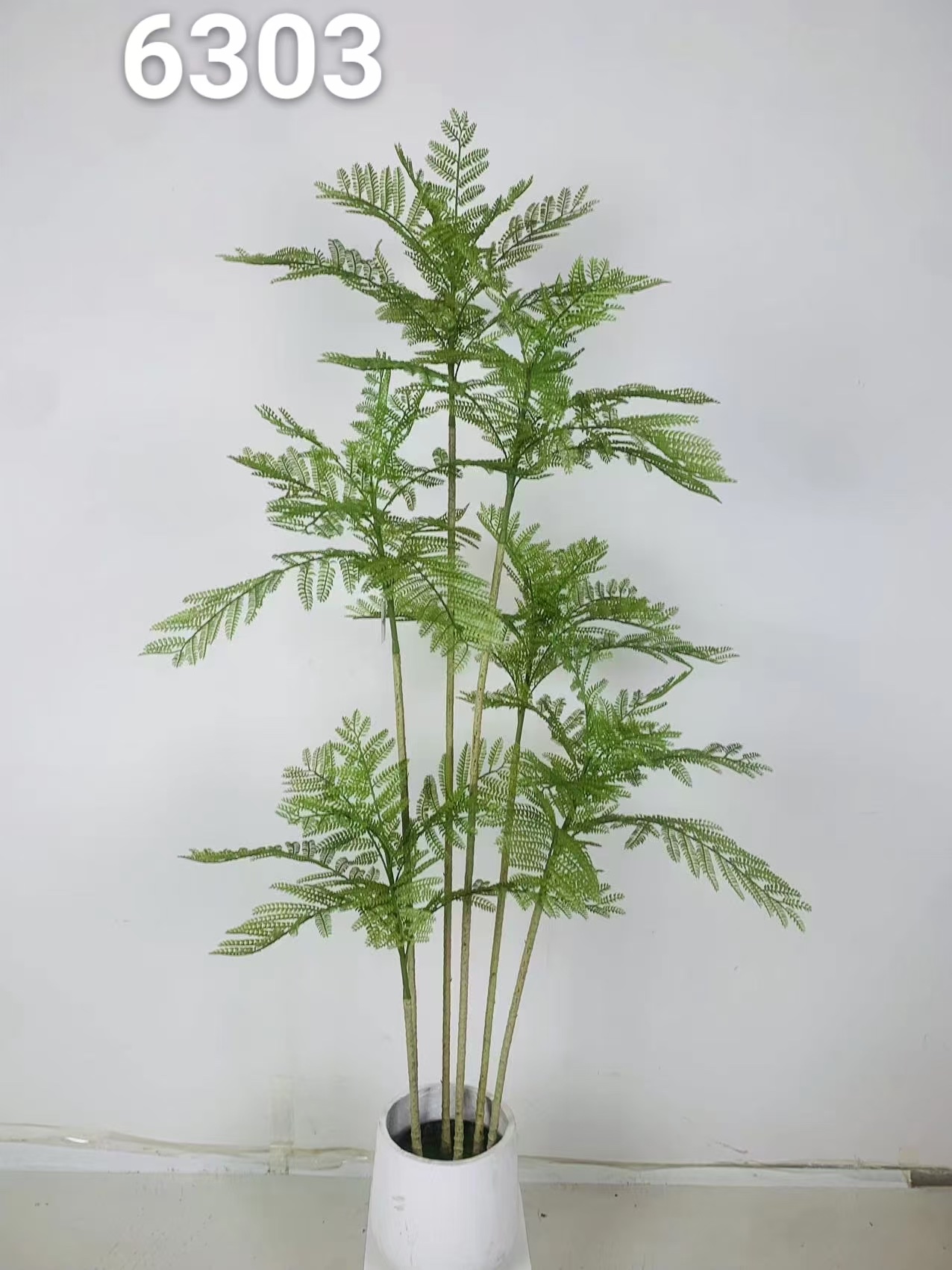 6杆迷你蓝花楹