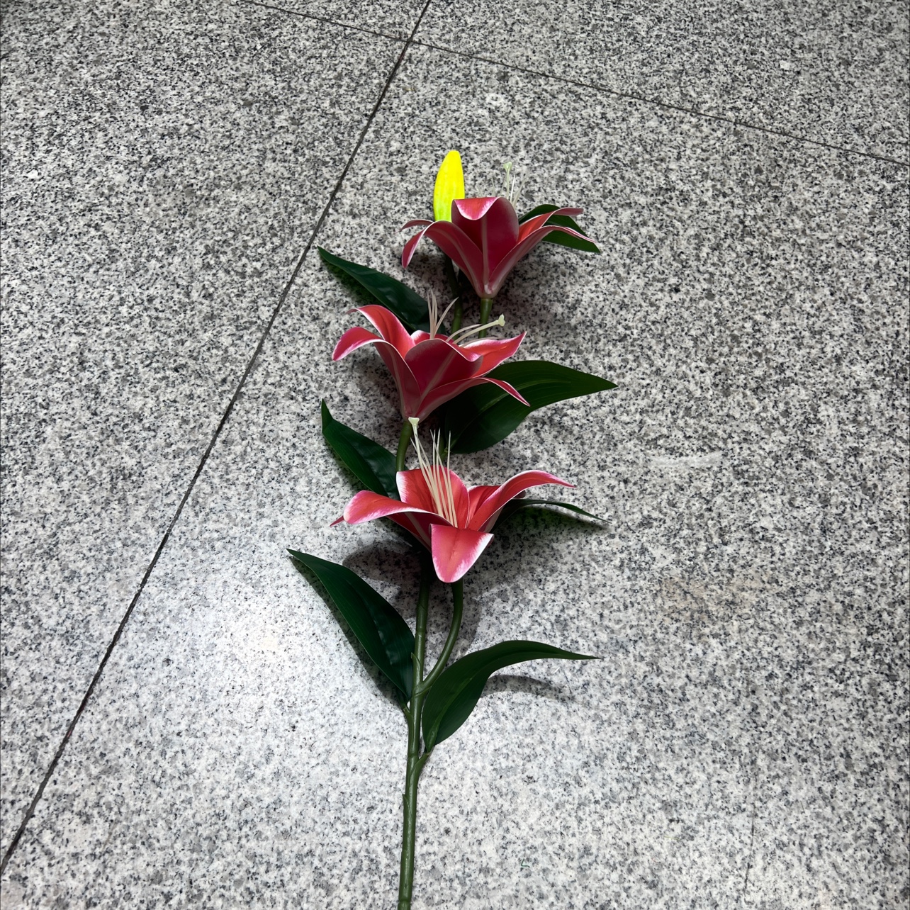 仿真花瓣实物图