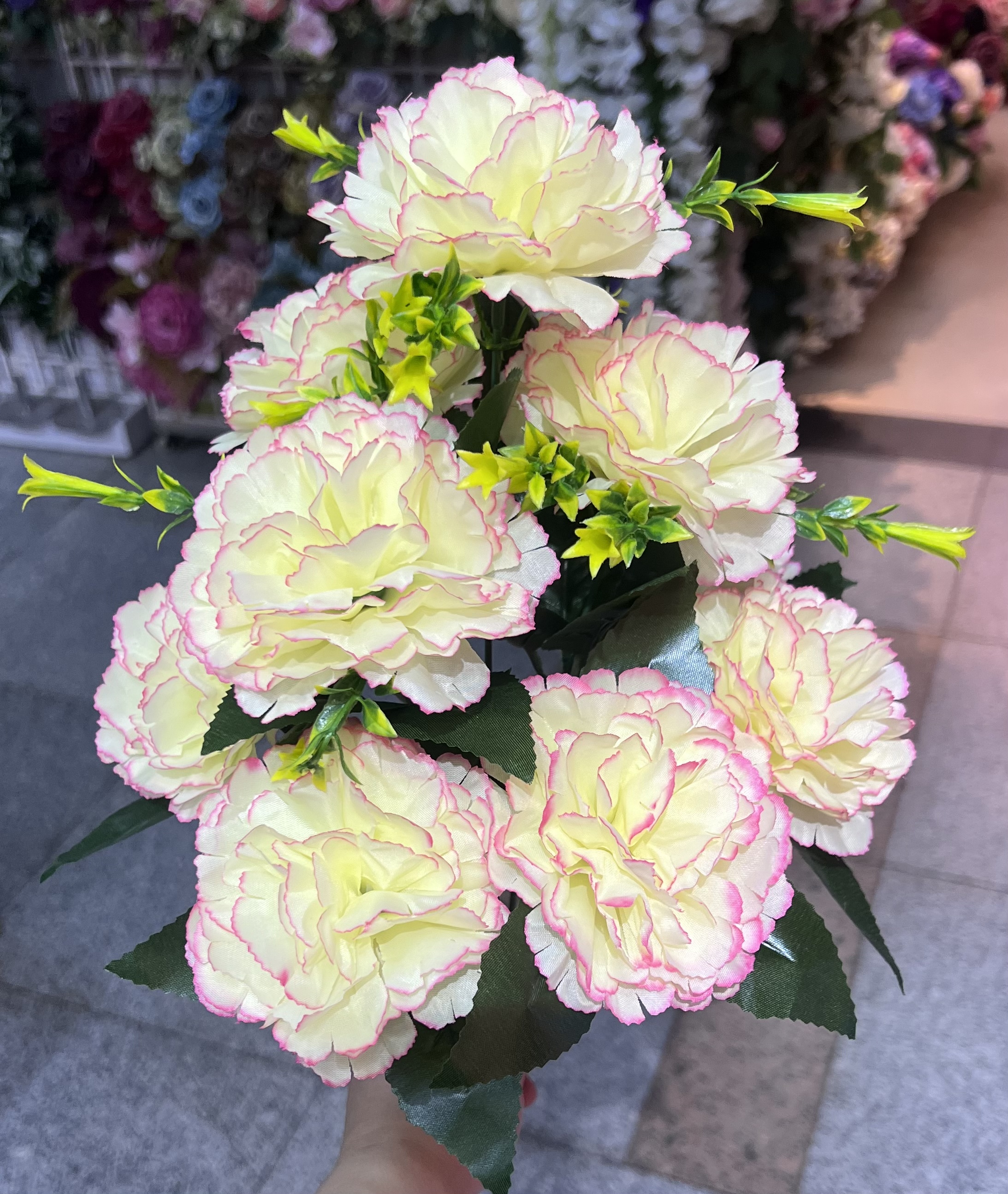 10头康乃馨