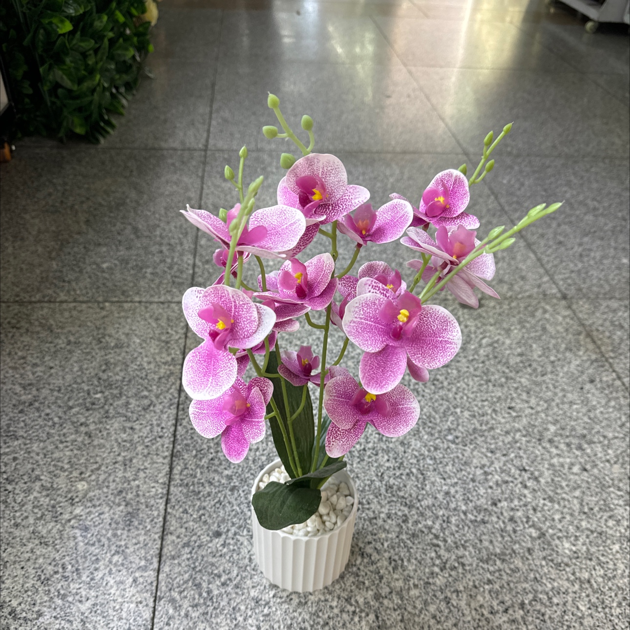 蝴蝶兰仿真花地瓜叶干花摆设室内装饰仿真花瓣美丽花艺装饰品仿真花