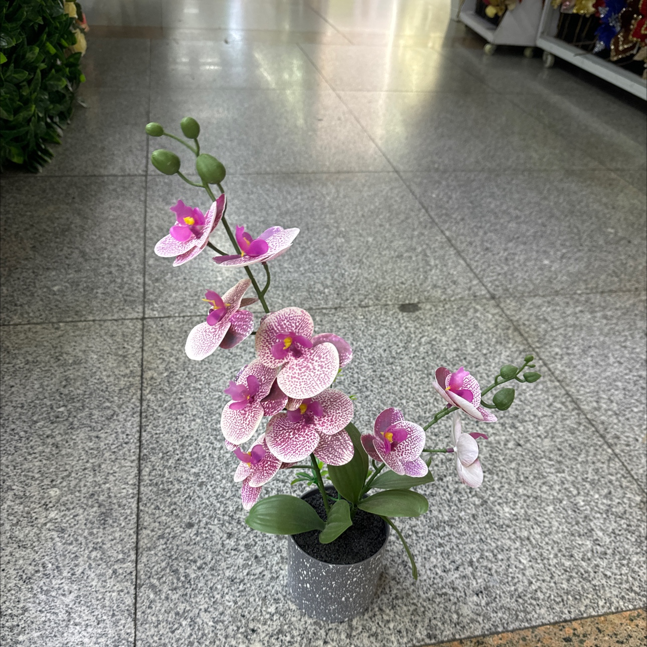 蝴蝶兰仿真花地瓜叶干花摆设装饰家居客厅桌面植物花艺品