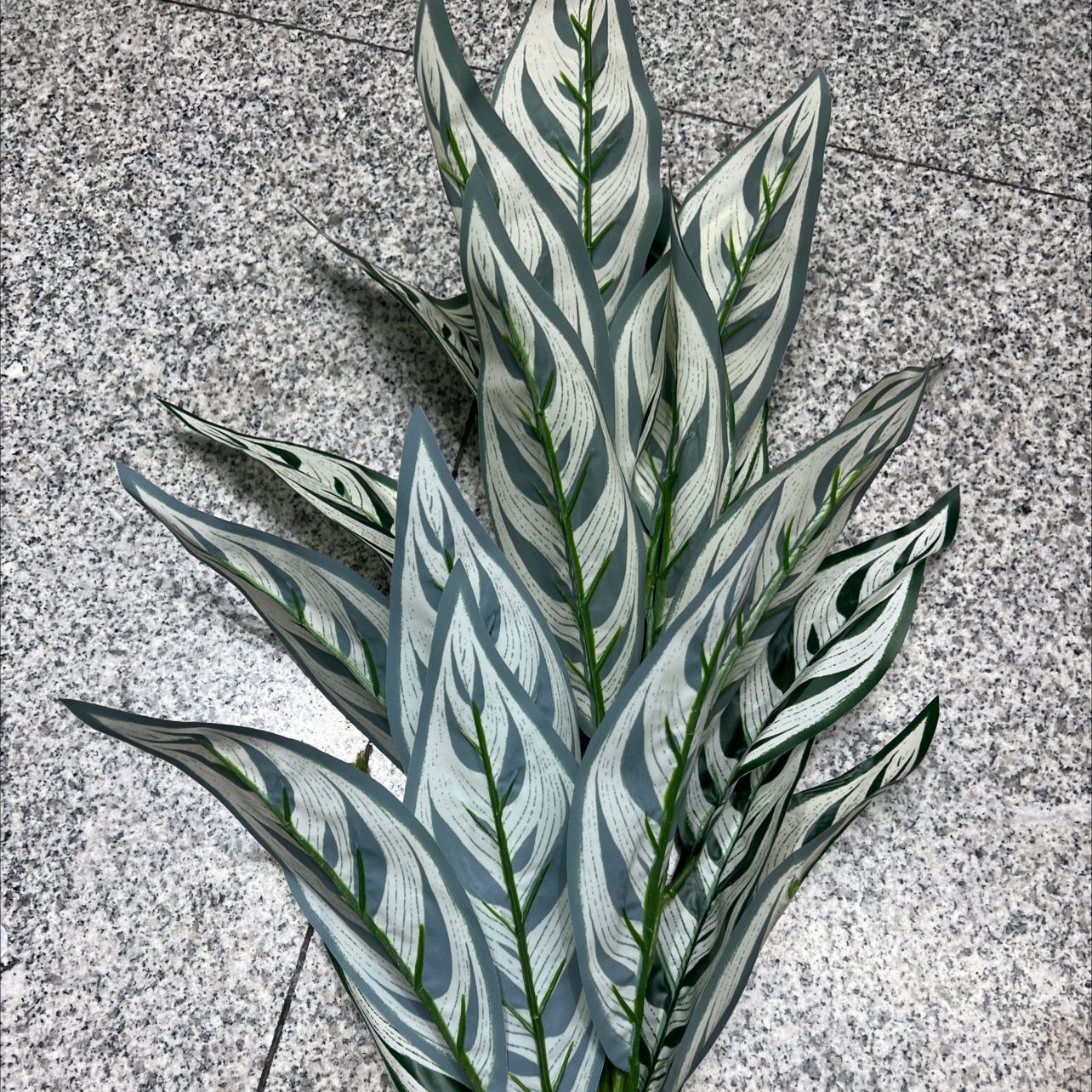仿真植物仿真叶子装饰品工艺品细节图