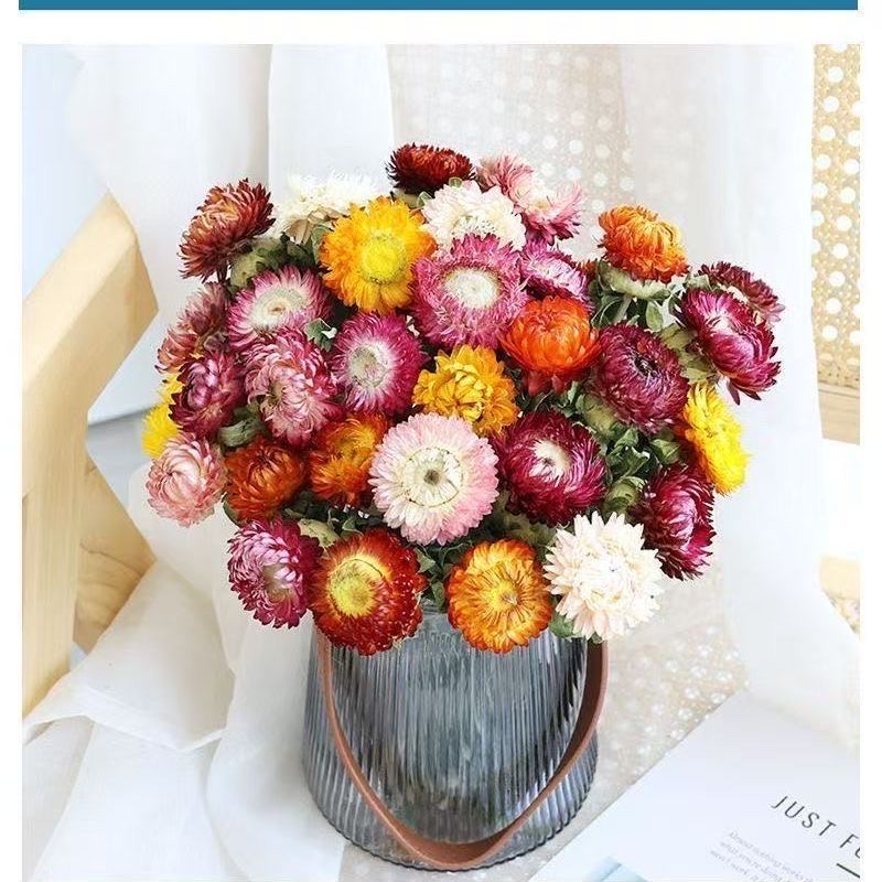 蝴蝶兰仿真花干花摆设地瓜叶装饰剑兰仿真花艺插花材料家居装饰品仿真花产品图