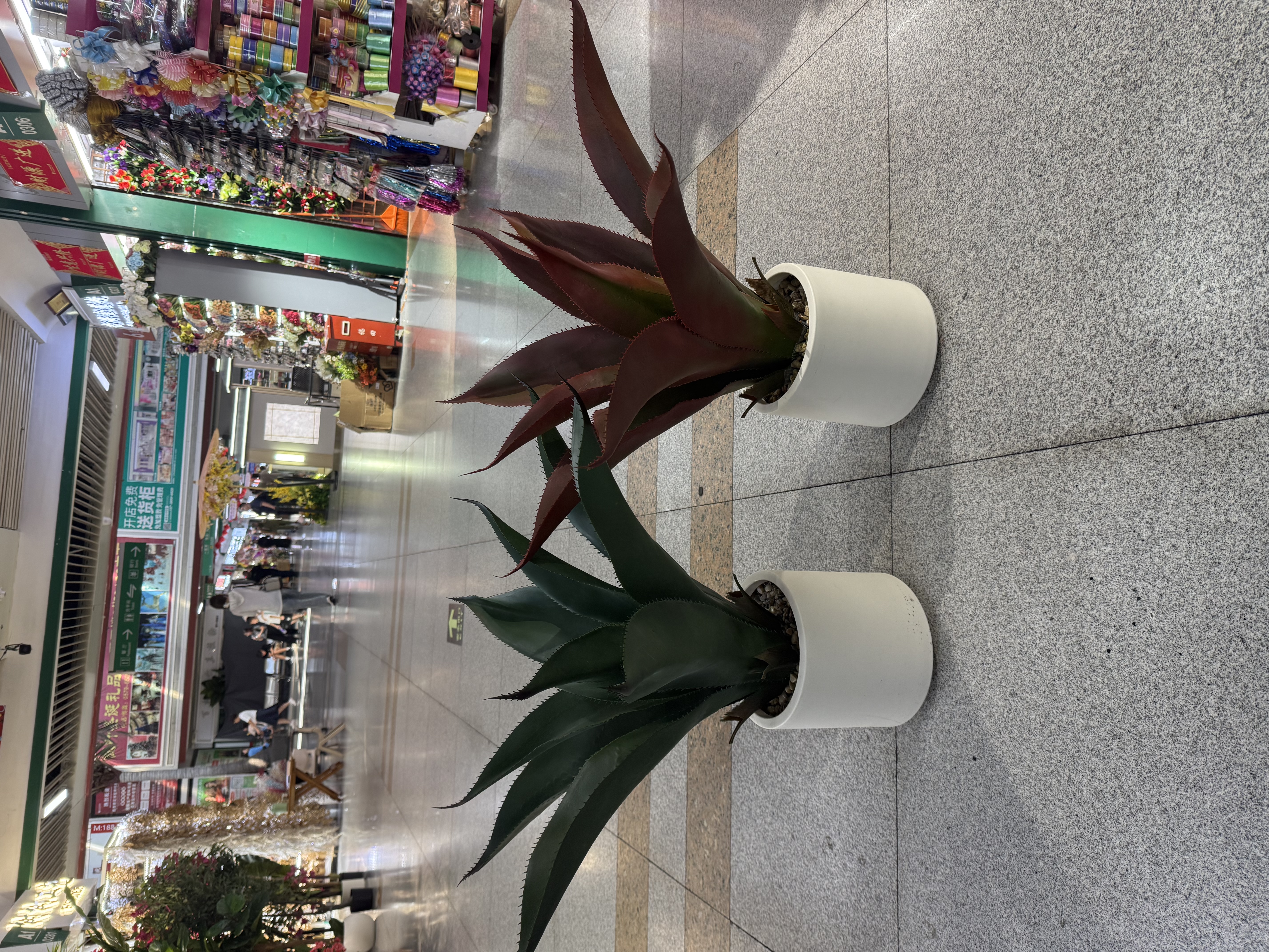 高仿真加密剑麻 芦荟 大自然绿色 ，魅力红 
Arifical plants and trees 详情图4