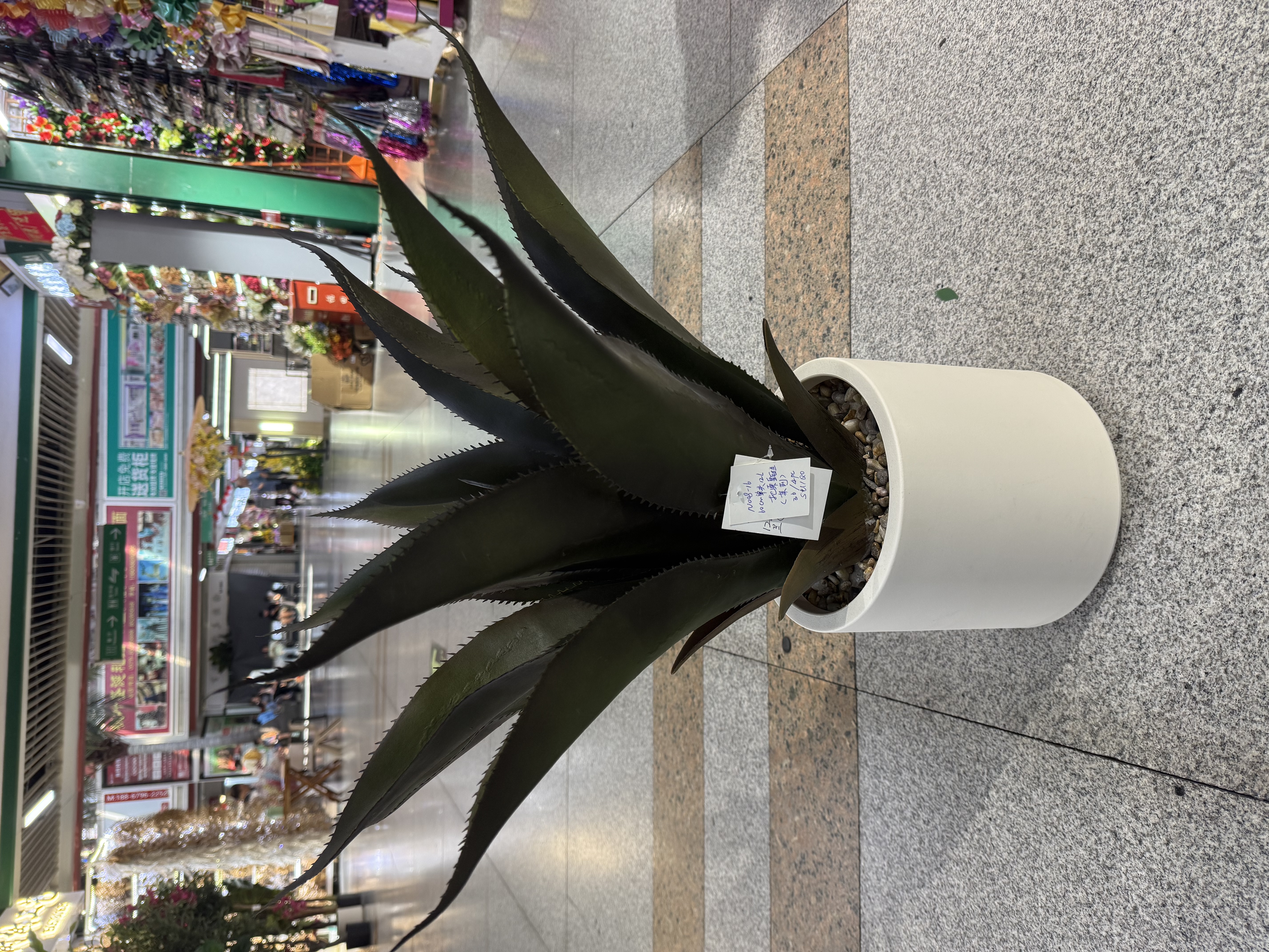 高仿真加密剑麻 芦荟 大自然绿色 ，魅力红 
Arifical plants and trees 详情图6