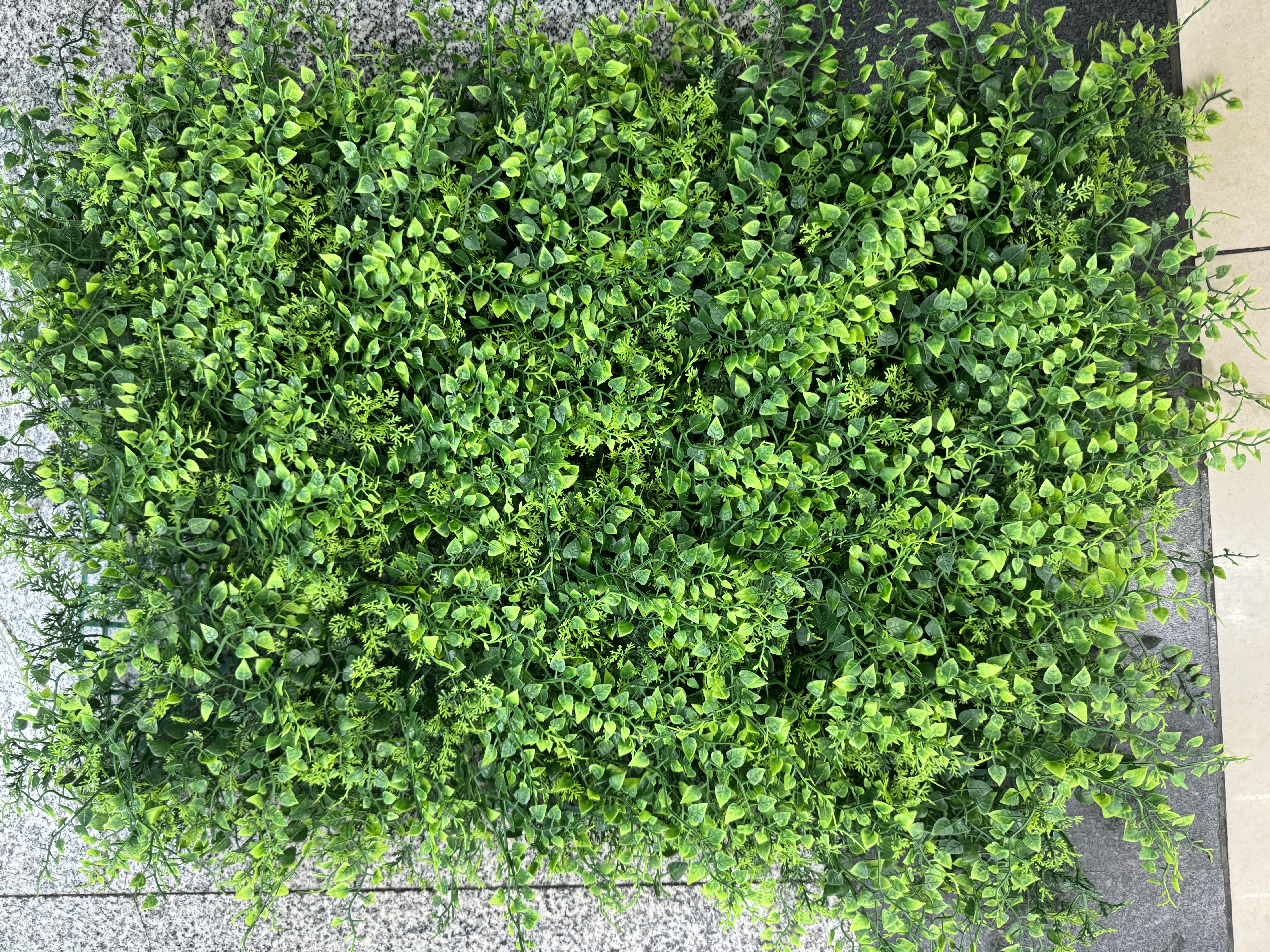 A new artificial lawn has emerged