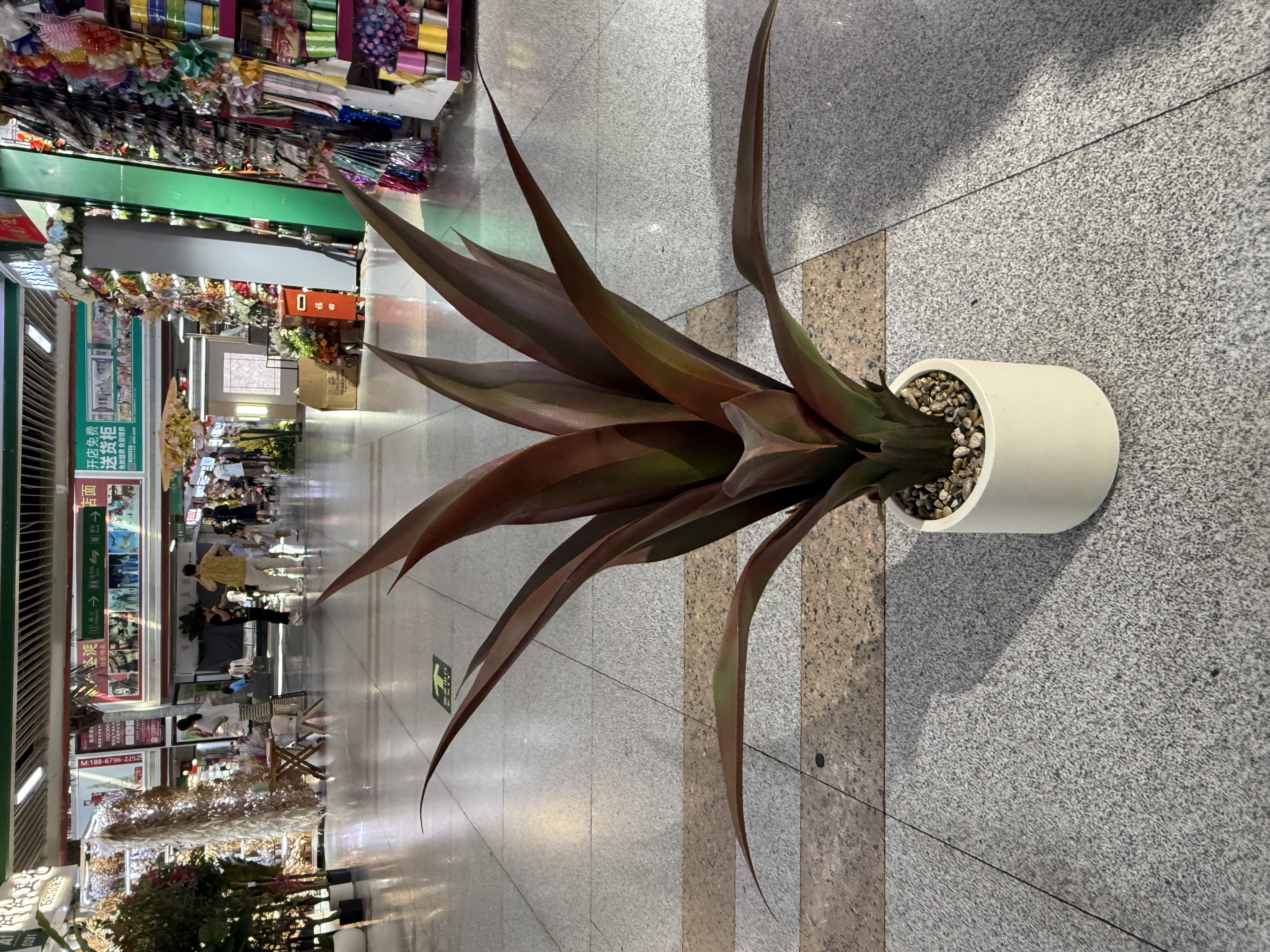 高仿真加密剑麻 芦荟 大自然绿色 ，魅力红 
Arifical plants and trees 详情图3