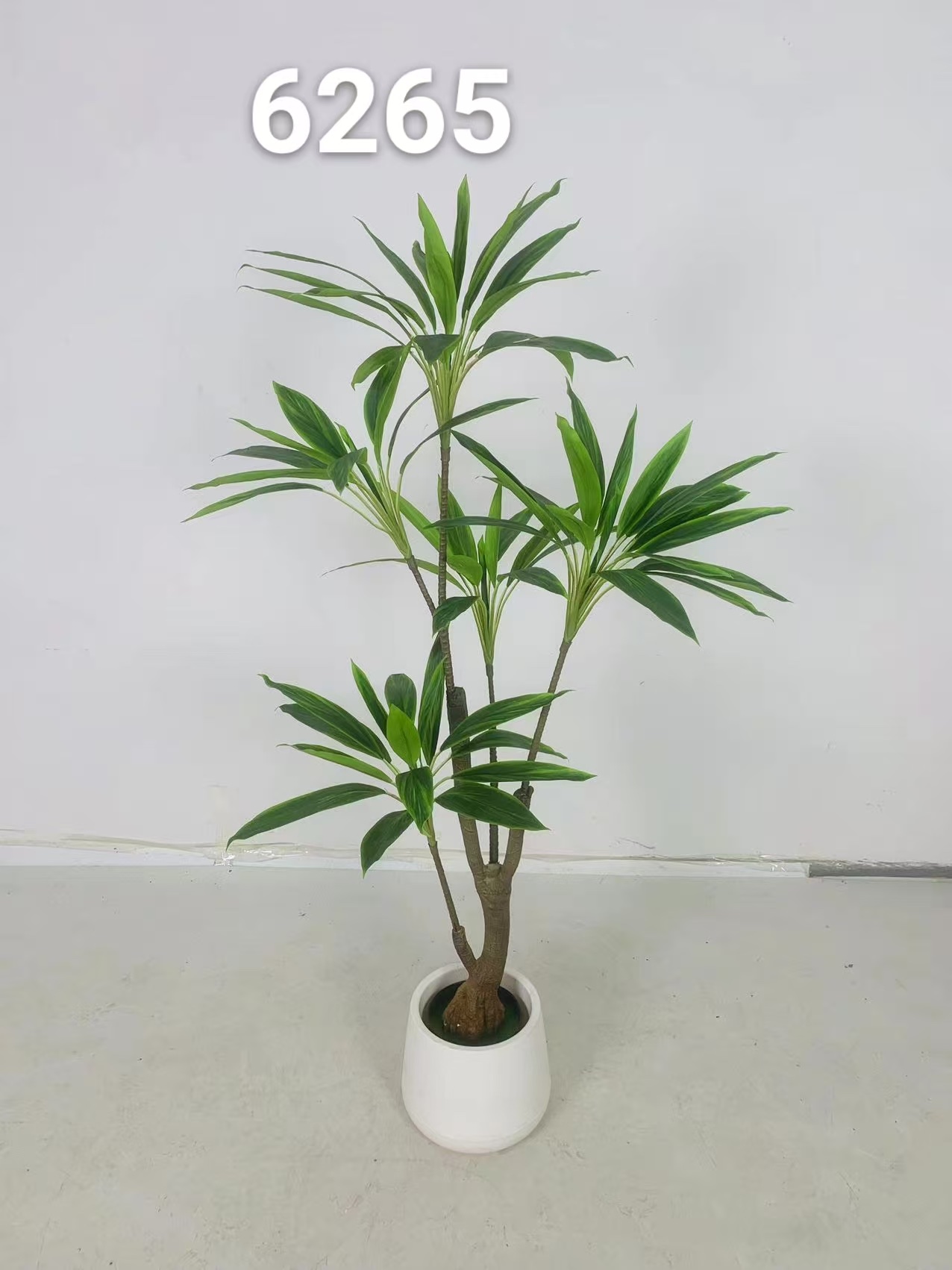 الزخرفة الداخلية لطائر الجنة المزخرفة بالنباتات الطبيعية Specification image