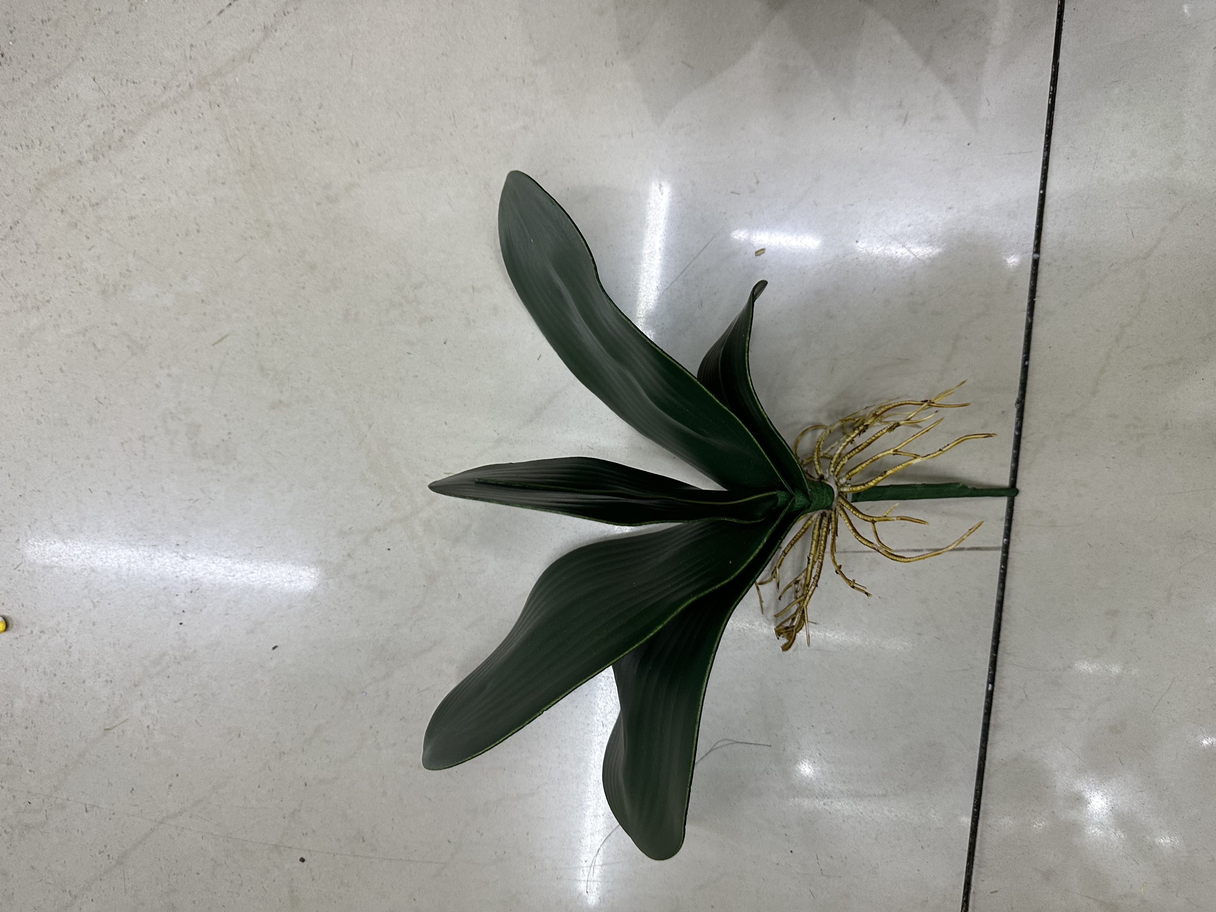 仿真蝴蝶兰五片盆景