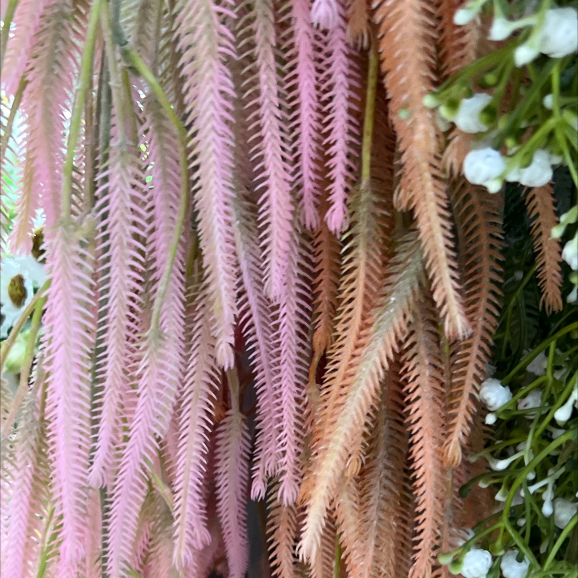 仿真藤条花条1米婚庆装饰蒙古包装饰品洋兰花花束布艺装饰品仿真藤条仿真花花条1米洋兰花花条1米蒙古包装饰品婚庆仿真花婚庆仿详情图2