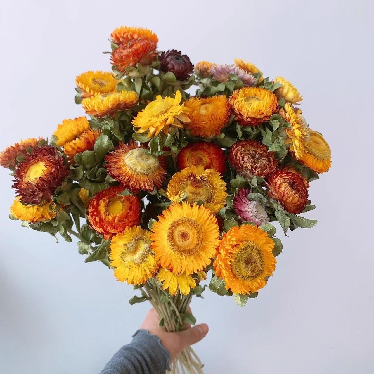 仿真花瓣实物图