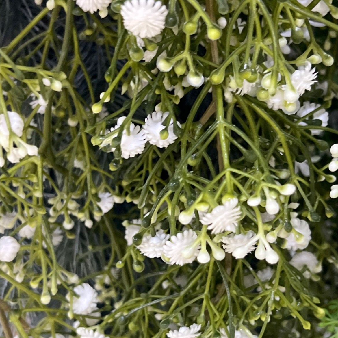 仿真藤条花条1米婚庆装饰蒙古包装饰品洋兰花花束布艺装饰品仿真藤条仿真花花条1米洋兰花花条1米蒙古包装饰品婚庆仿真花婚庆仿产品图