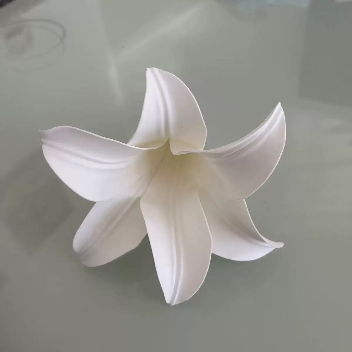 Simulated Flower Girl 2022 Forest Series details Picture