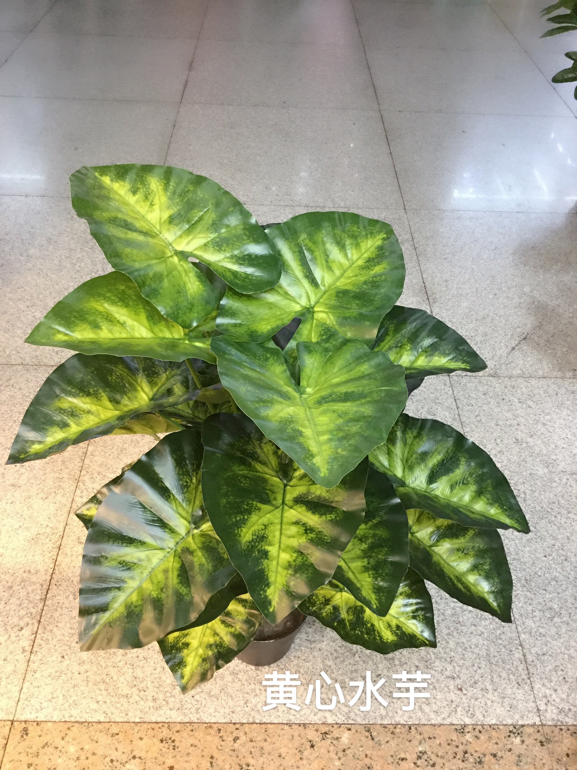 70cm 18叶仿真绿龟背 花点绿箩 青苹果叶 滴水观音 黄心水芋 artificial plants trees 旅游详情图3