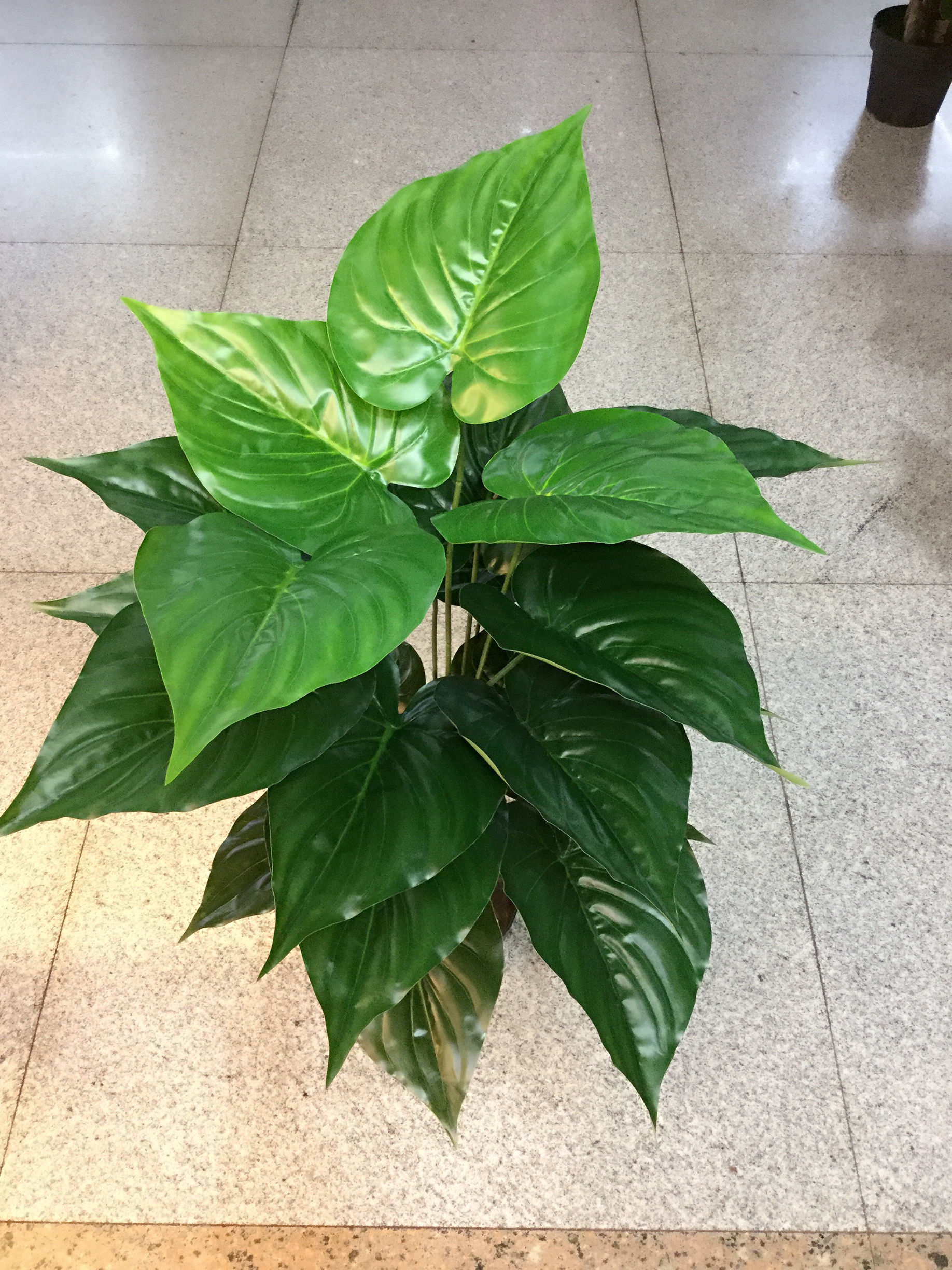 70cm 18叶仿真绿龟背 花点绿箩 青苹果叶 滴水观音 黄心水芋 artificial plants trees 旅游详情图2