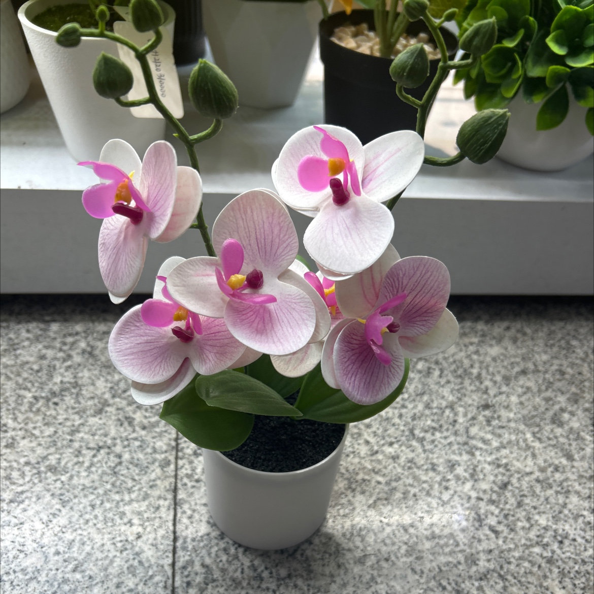 仿真胶片蝴蝶兰盆栽办公室客厅家用仿真花小盆景蝴蝶兰仿真花