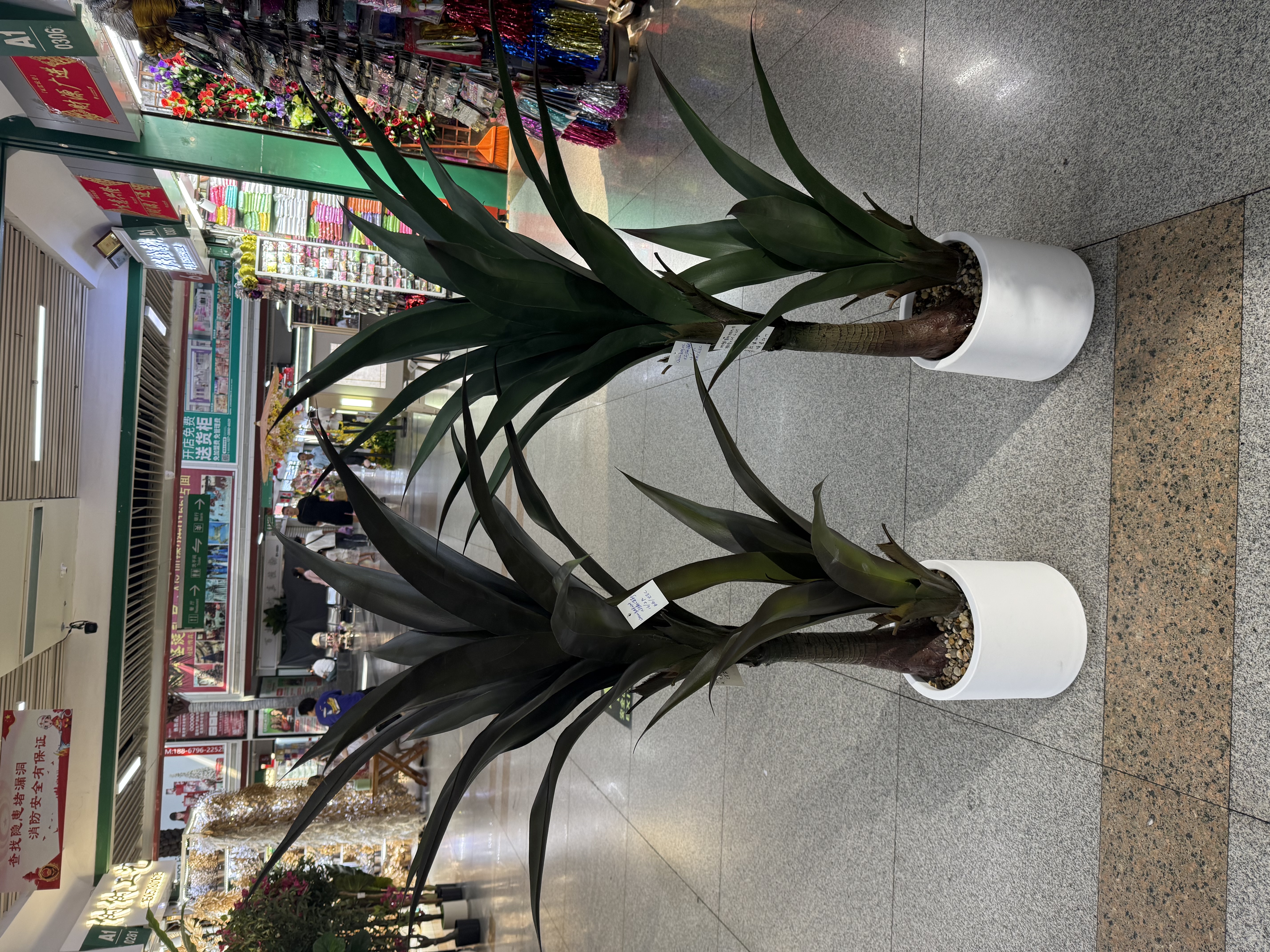 高仿真加密剑麻 芦荟 大自然绿色 ，魅力红 
Arifical plants and trees 