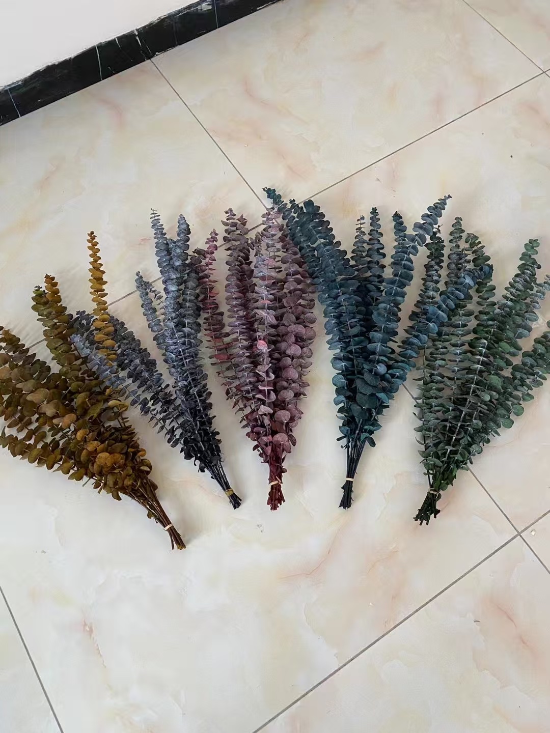 There are dried galilee flowers for display