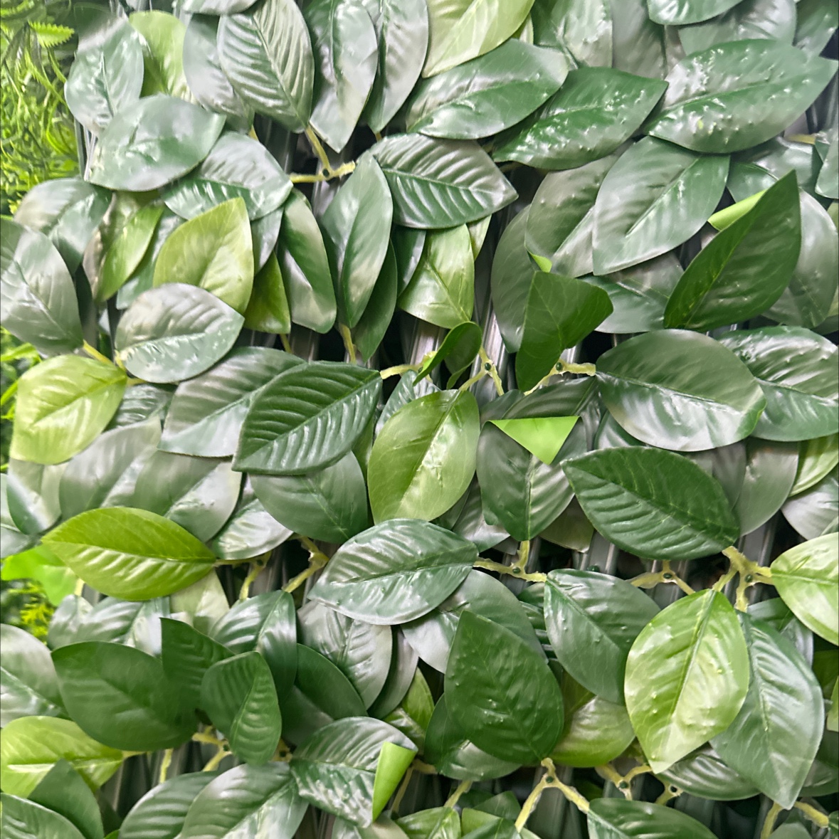 Moss, green moss, artificial artificial, eternal lawn, grass, micro-landscape, green plant decoration, landscaping, flower bonsai, and pavement