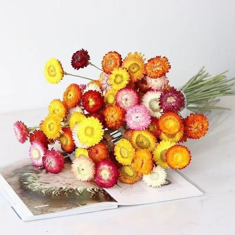 Phalaenopsis artificial flower, sweet potato leaf dried flower display, gladiolus artificial flower decoration, living room and bedroom plants, green plants, gladiolus artificial flower details Picture