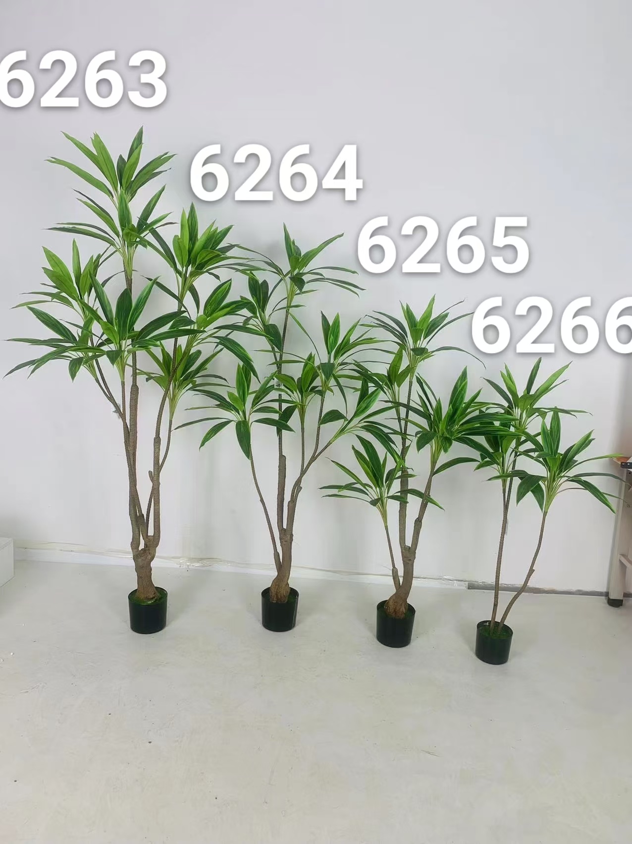 الزخرفة الداخلية لطائر الجنة المزخرفة بالنباتات الطبيعية Item Picture
