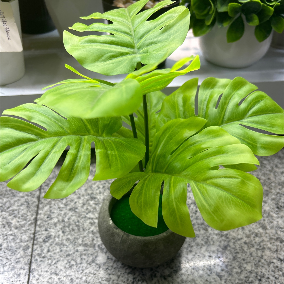 仿真龟背叶绿植盆栽仿真绿植叶子胶片办公室客厅家用小盆景