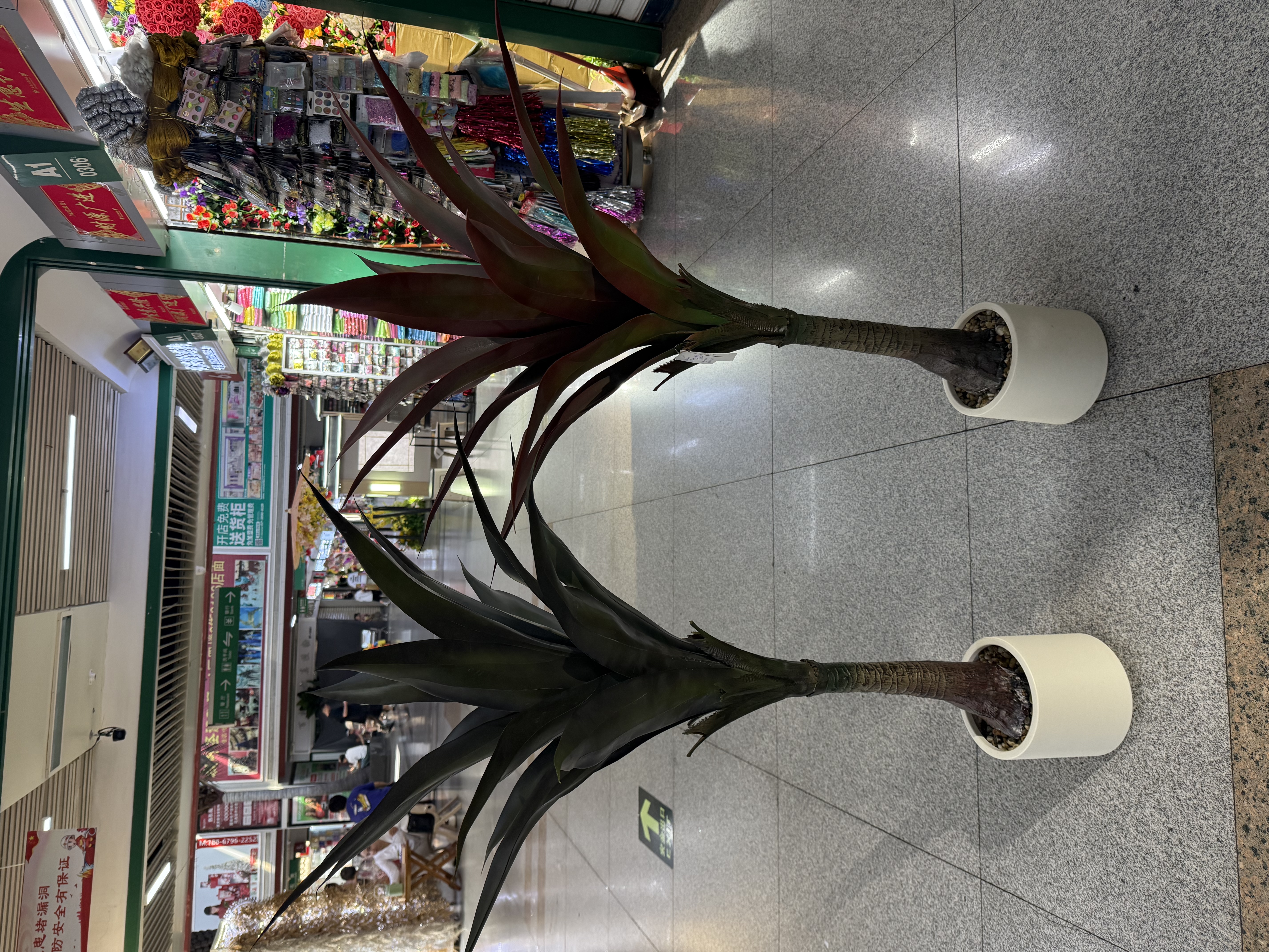 高仿真加密剑麻 芦荟 大自然绿色 ，魅力红 
Arifical plants and trees 产品图