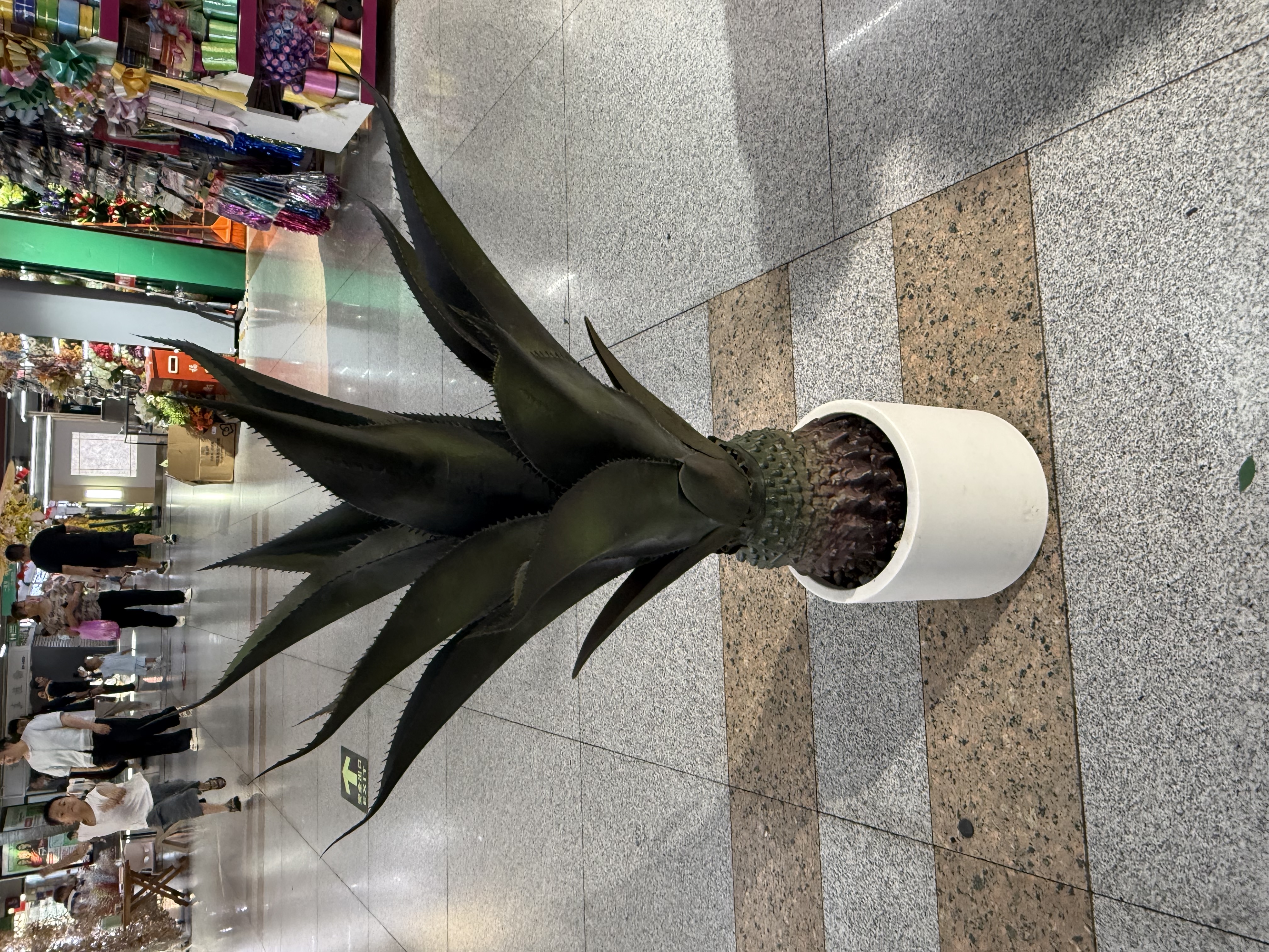 高仿真加密剑麻 芦荟 大自然绿色 ，魅力红 
Arifical plants and trees 详情图2