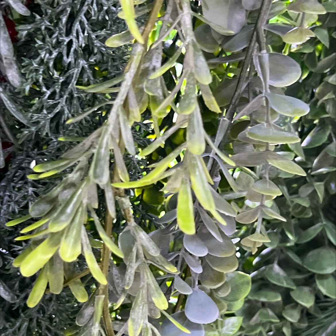 仿真藤条花条1米婚庆装饰蒙古包装饰品洋兰花花束布艺装饰品仿真藤条仿真花花条1米洋兰花花条1米蒙古包装饰品婚庆仿真花婚庆仿细节图