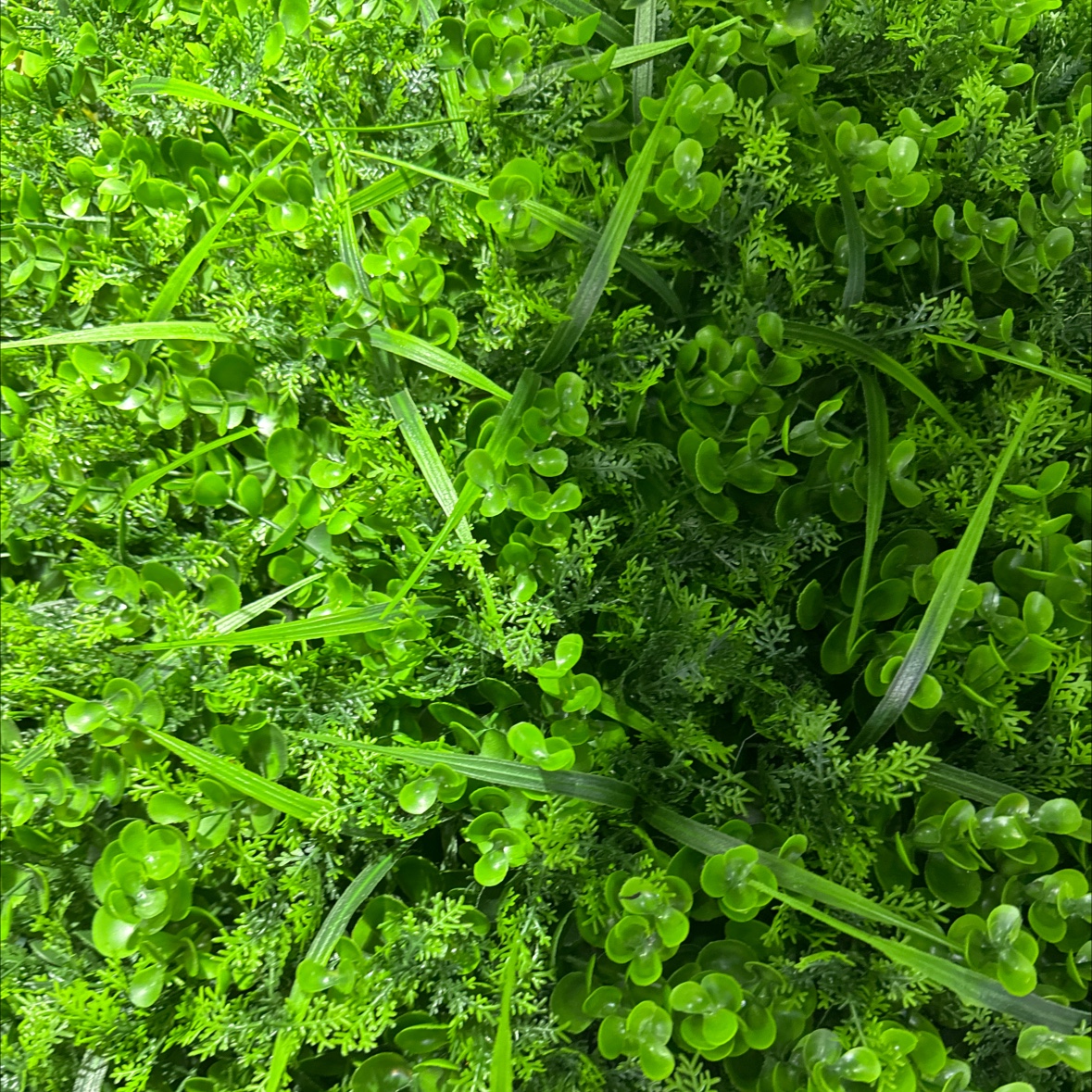 Artificial moss, green moss, artificial artificial eternal lawn grass, micro-landscape green plants, decorative landscaping, flower potted plants, and pavement