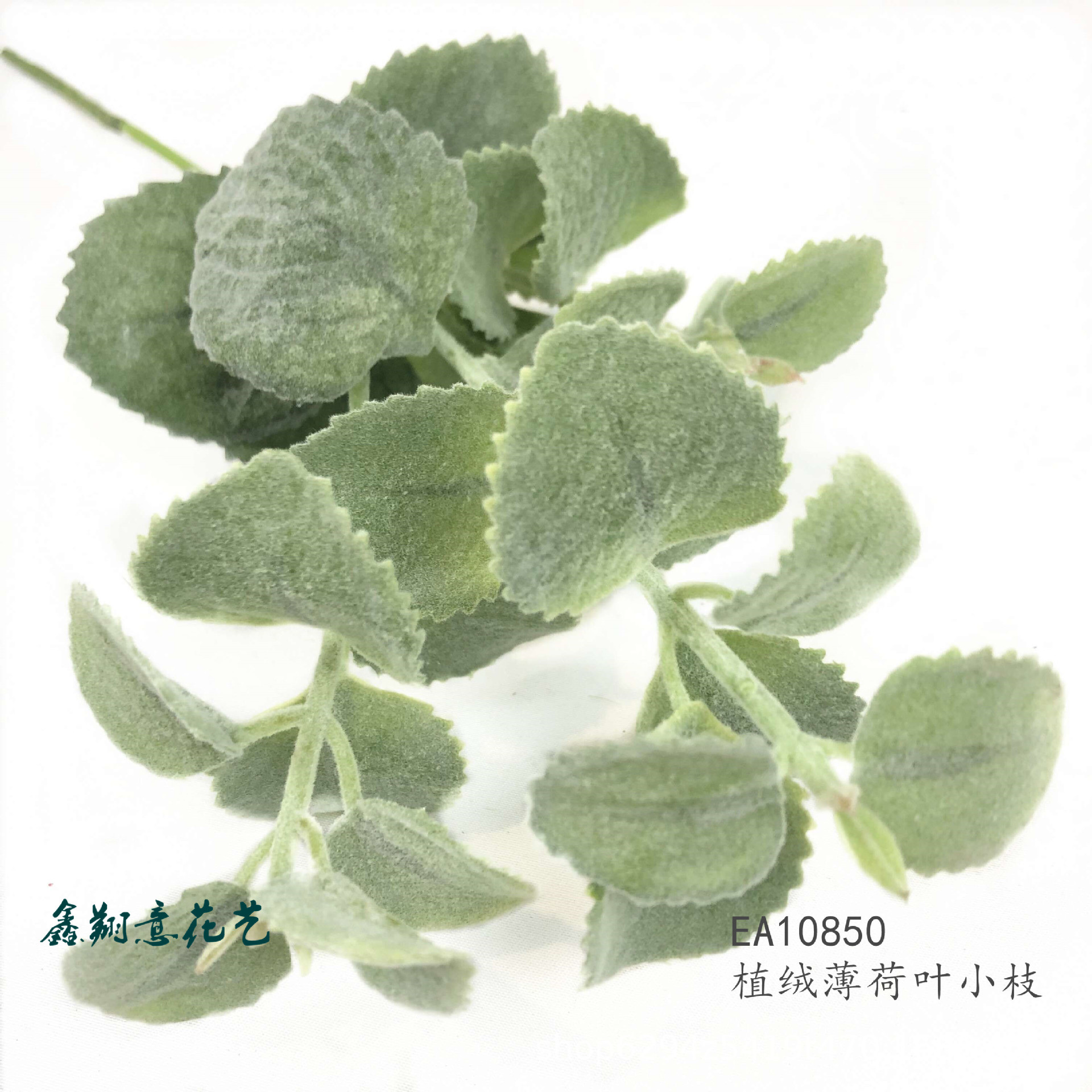 植绒薄荷叶小支