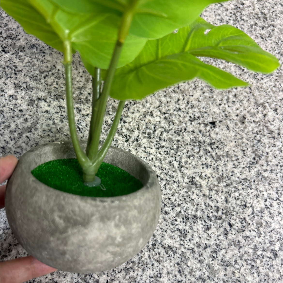 Simulated turtle-back leaf green plant potted plant, simulated green plant leaf film, office, living room, home small bonsai Application Scenario